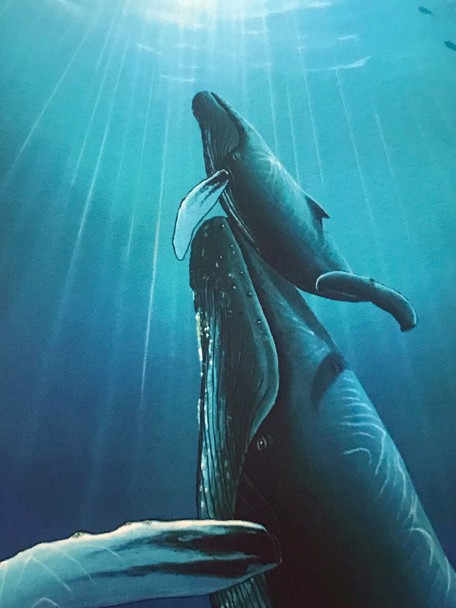 Ocean Born Wyland Serigraph Print Artist Hand Signed and Numbered