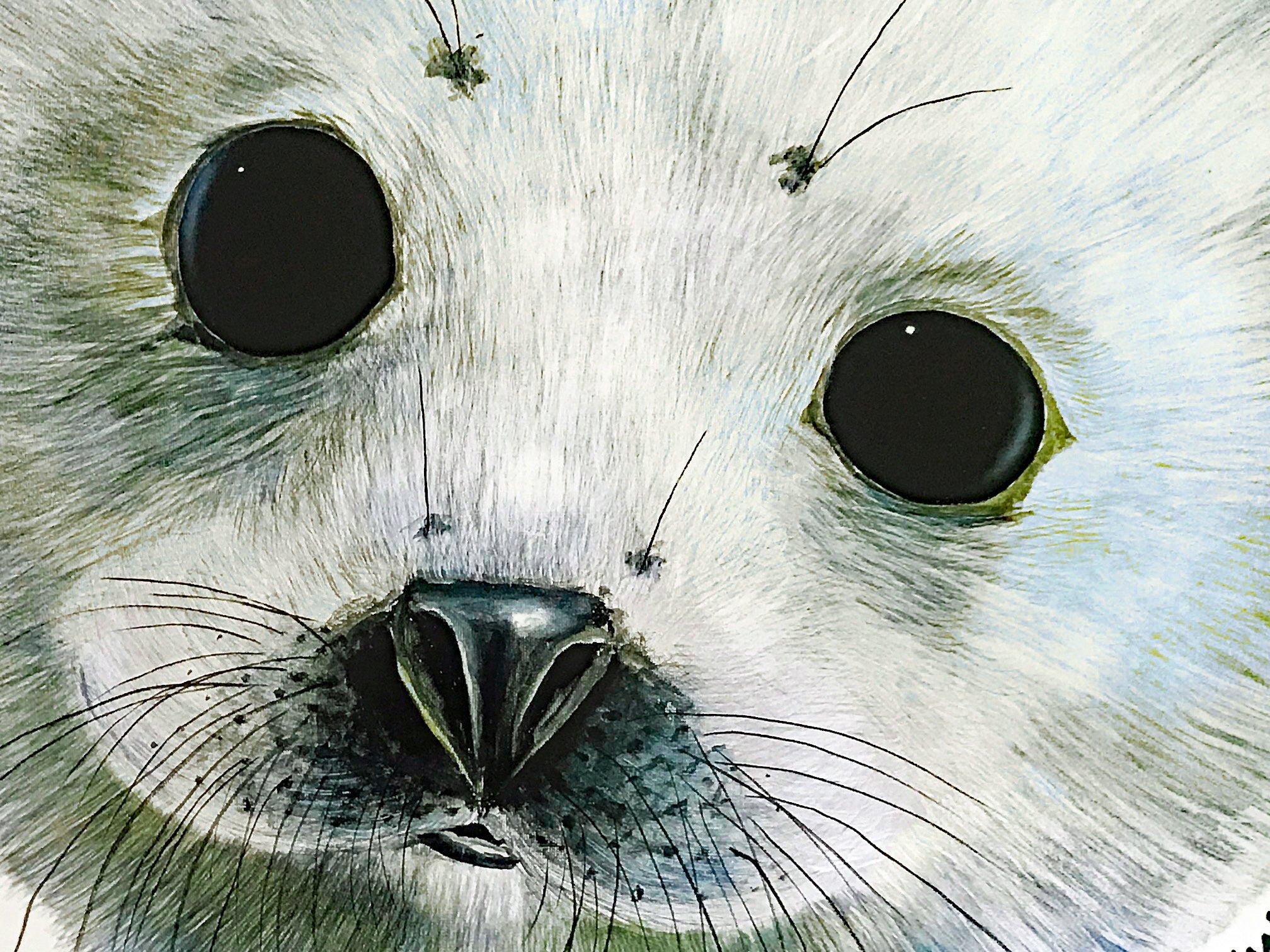 Save the Seals Wyland Diptych Lithograph Print Artist Hand Signed and Numbered