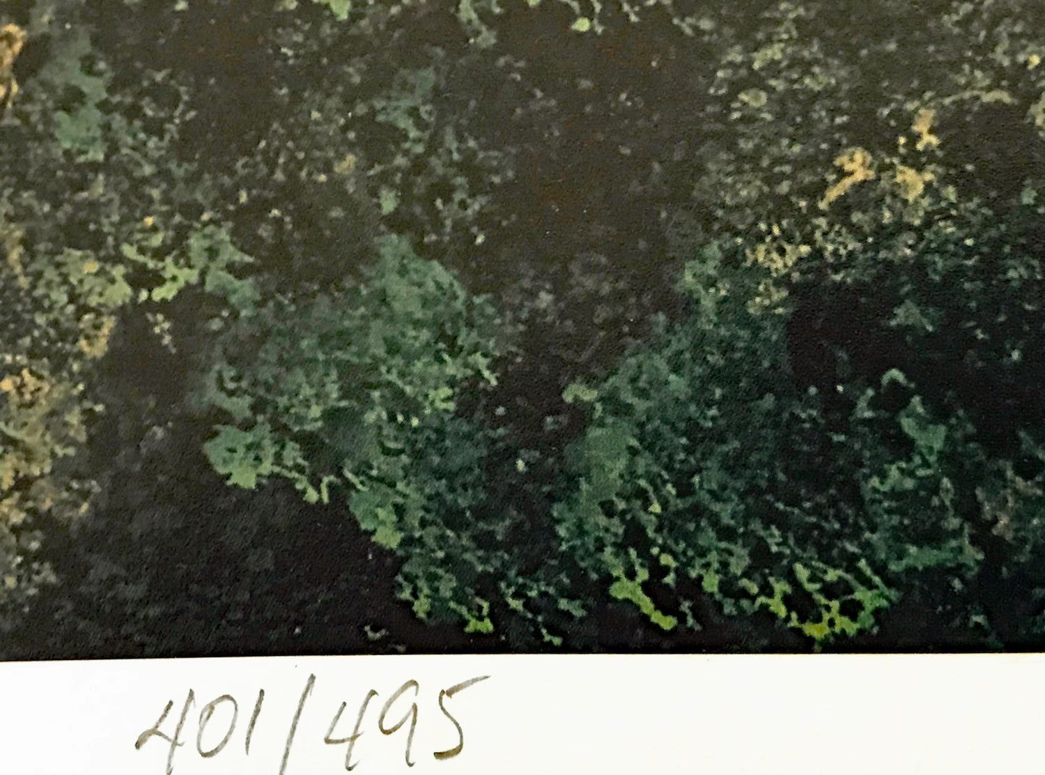 Remember When Jane Wooster Scott Offset Lithograph Print Artist Hand Signed and Numbered