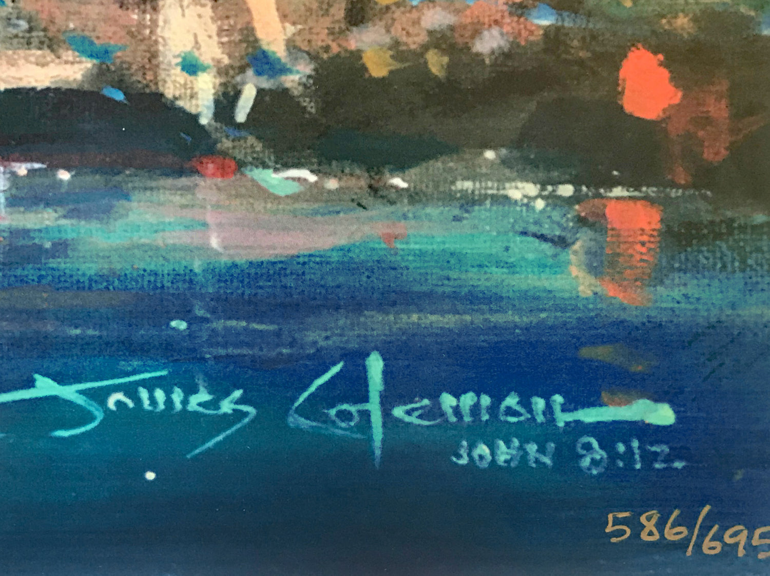 Portofino Bay James Coleman Lithograph Print Artist Hand Signed and Numbered