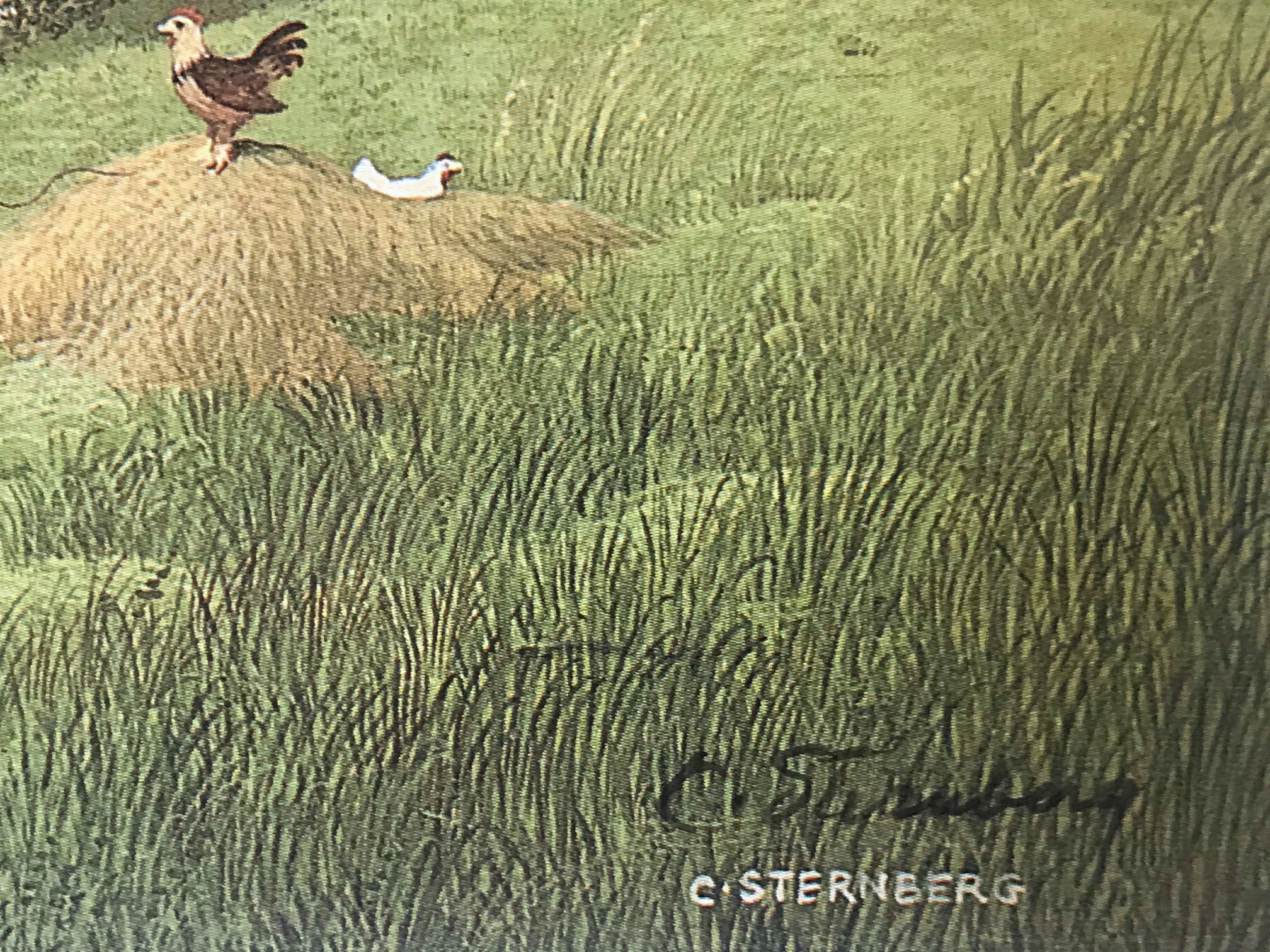 Broadwater Charlotte Sternberg Lithograph Print Artist Hand Signed and Numbered
