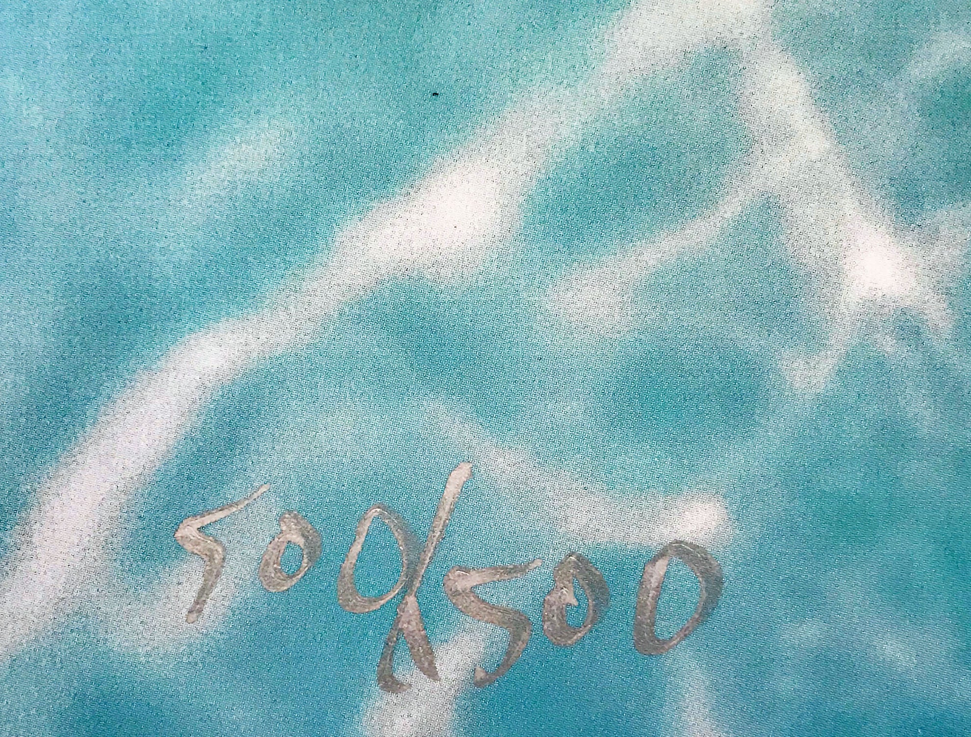 Afternoon Swim Dan Mackin Lithograph Print Artist Hand Signed Numbered