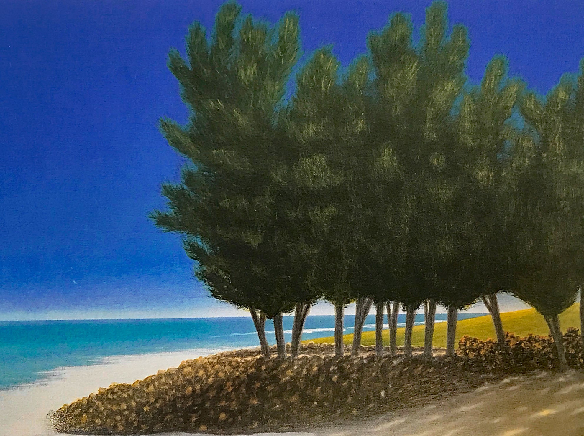 Afternoon Swim Dan Mackin Lithograph Print Artist Hand Signed Numbered