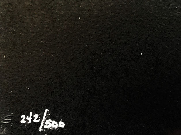 Ray Waldemar Swierzy Lithograph Deckle Edge Paper Print Artist Hand Signed and Numbered