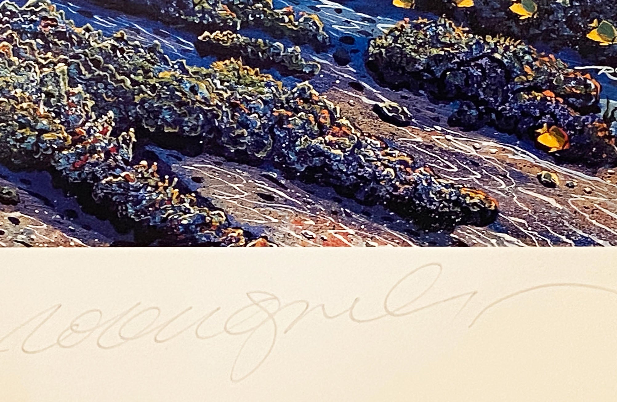 Hanas Secret Magic Robert Lyn Nelson Mixed Media Print Artist Hand Signed and Numbered