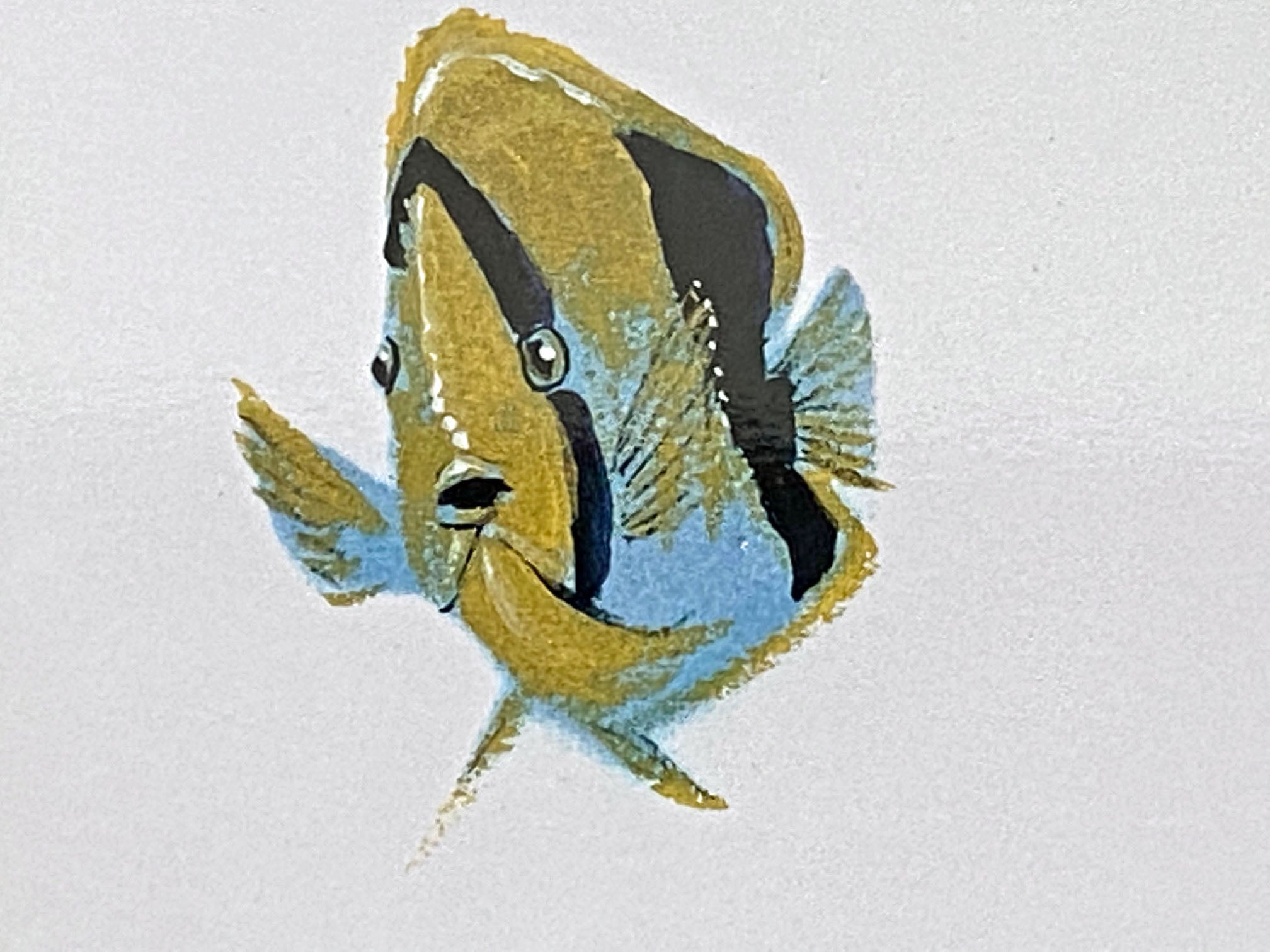 Underwater Paradise Wyland Lithograph Print Artist Hand Signed and Numbered