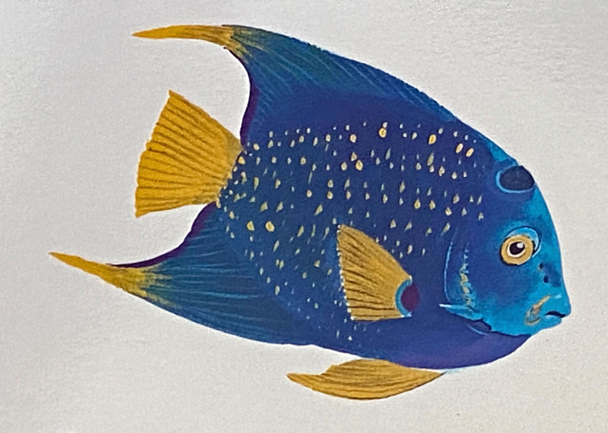 Underwater Paradise Wyland Lithograph Print Artist Hand Signed and Numbered