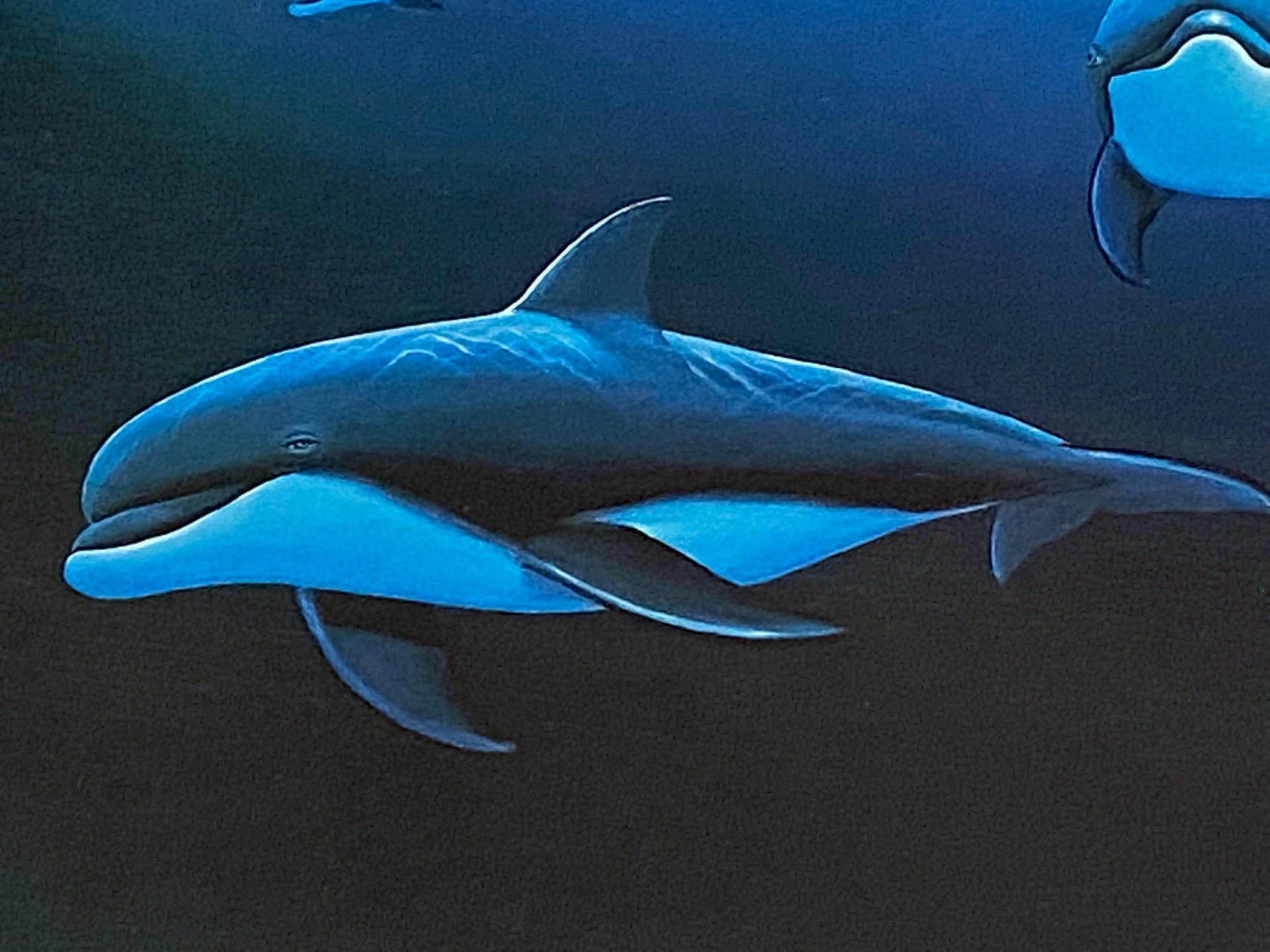 Moonlit Waters Wyland Lithograph Print Artist Hand Signed and Numbered