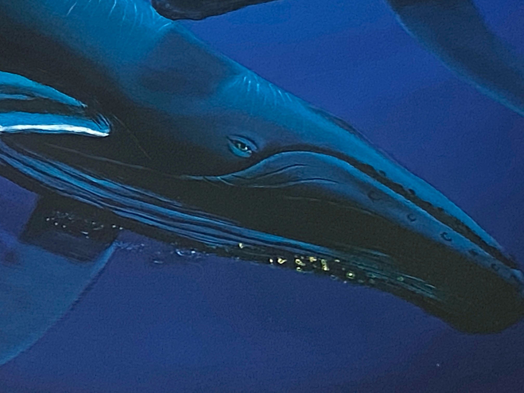 Song of the Deep Wyland Lithograph Print Artist Hand Signed and Numbered
