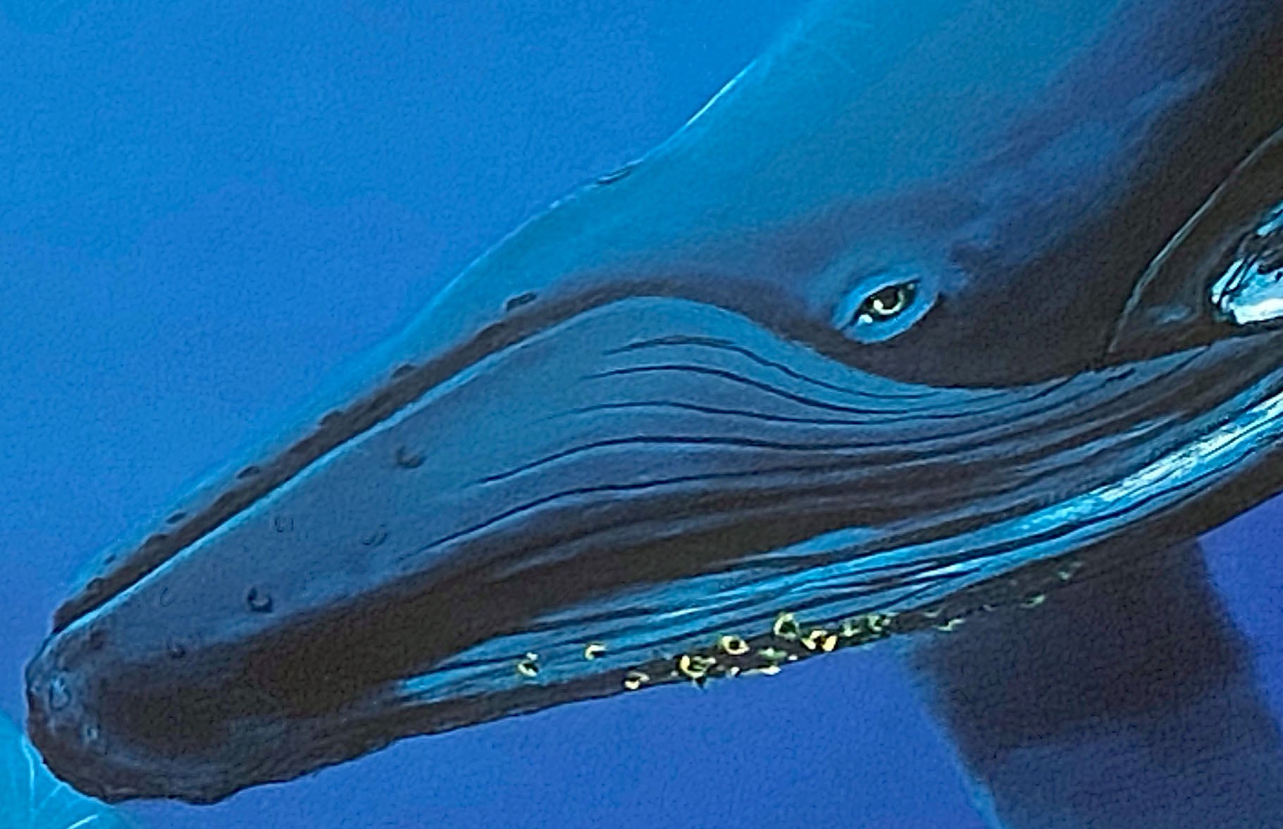 Song of the Deep Wyland Lithograph Print Artist Hand Signed and Numbered