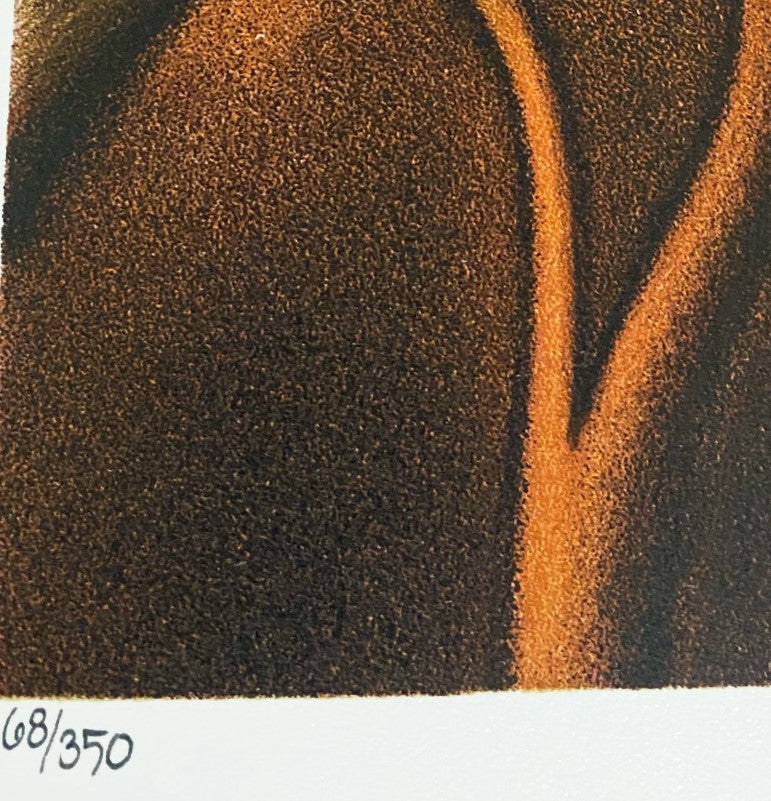 Nostalgia in Slow Motion Rafal Olbinski Hand Pulled Lithograph Print Artist Hand Signed and Numbered