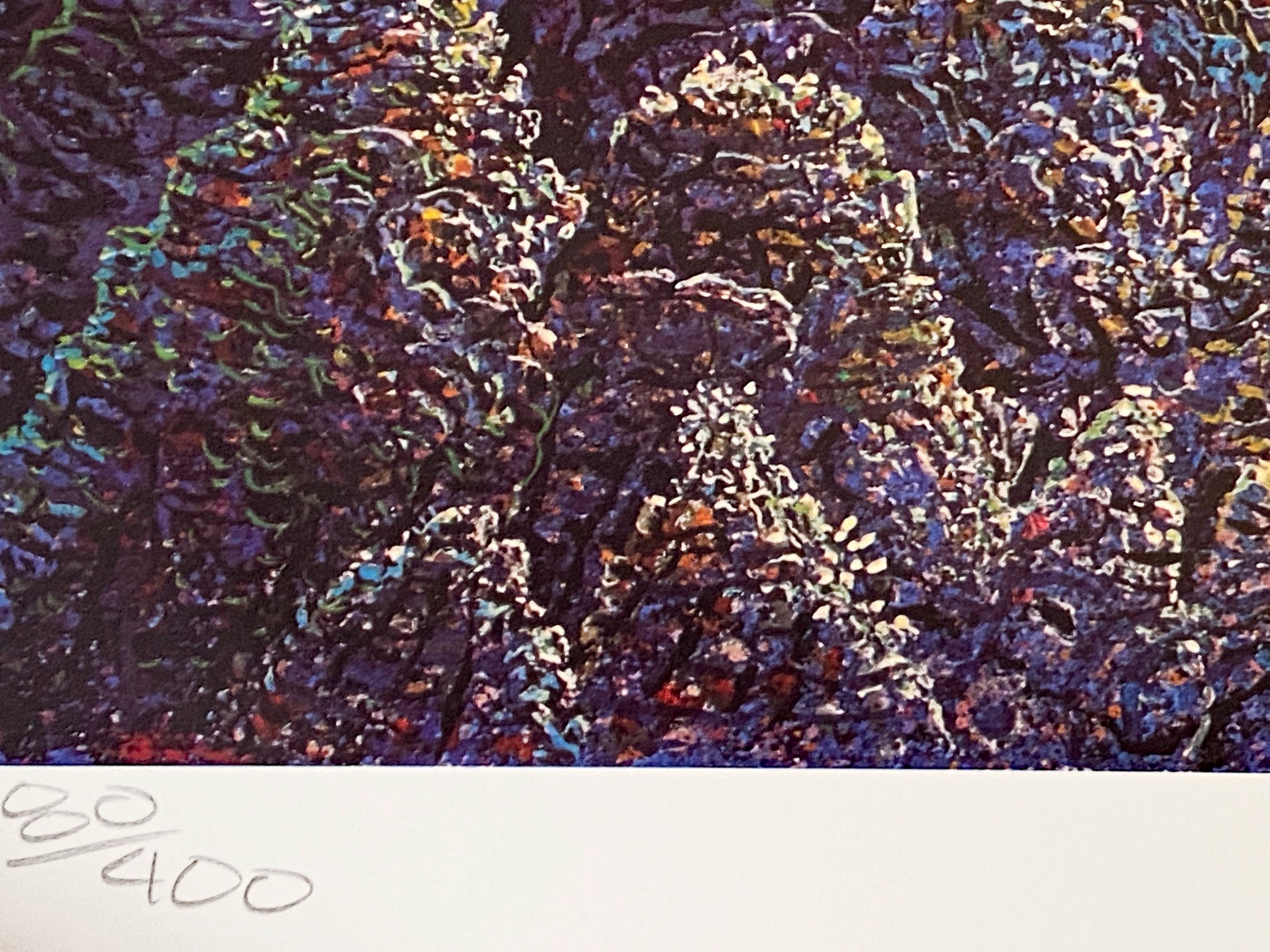 Hope for the Future Robert Lyn Nelson Mixed Media Print Artist Hand Signed and Numbered