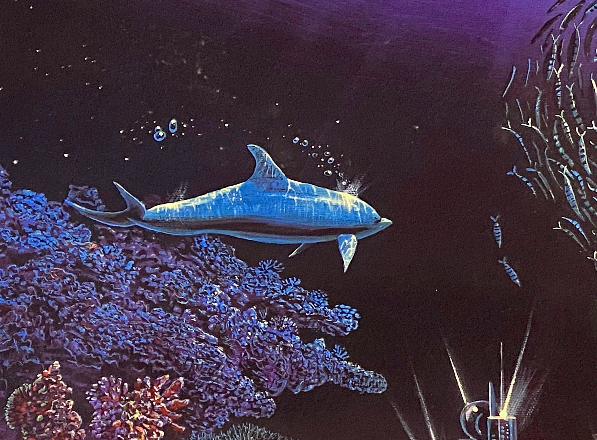 Hope for the Future Robert Lyn Nelson Mixed Media Print with Artist Hand Drawn Remarque Signed and Numbered