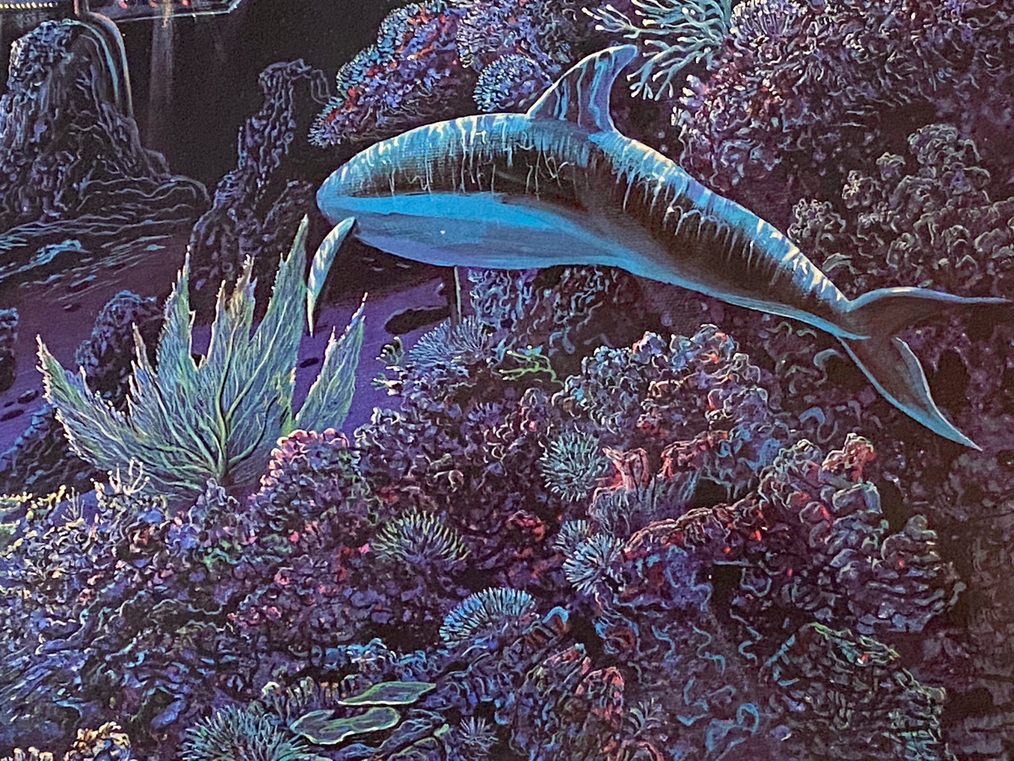 Hope for the Future Robert Lyn Nelson Mixed Media Print with Artist Hand Drawn Remarque Signed and Numbered