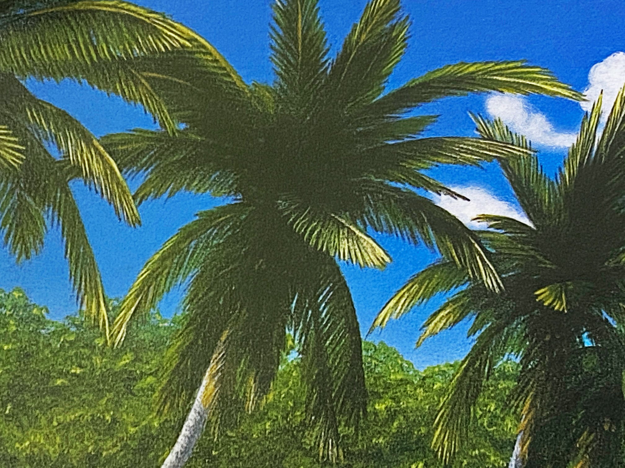 Endless Beaches Dan Mackin Lithograph Print Artist Hand Signed and Numbered