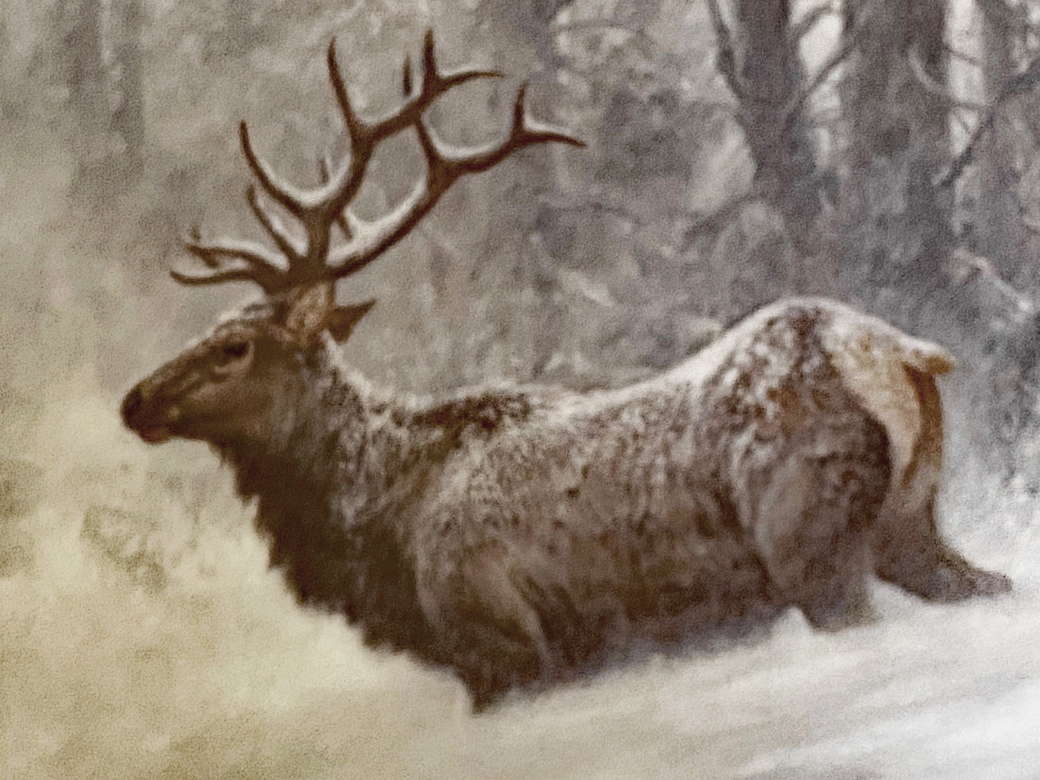 Mountain Majesty Larry Fanning Artist Proof Lithograph Print on Paper Artist Hand Signed and AP Numbered