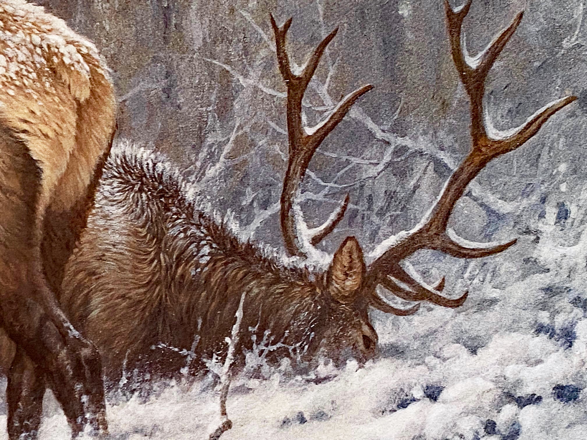 Mountain Majesty Larry Fanning Artist Proof Lithograph Print on Paper Artist Hand Signed and AP Numbered