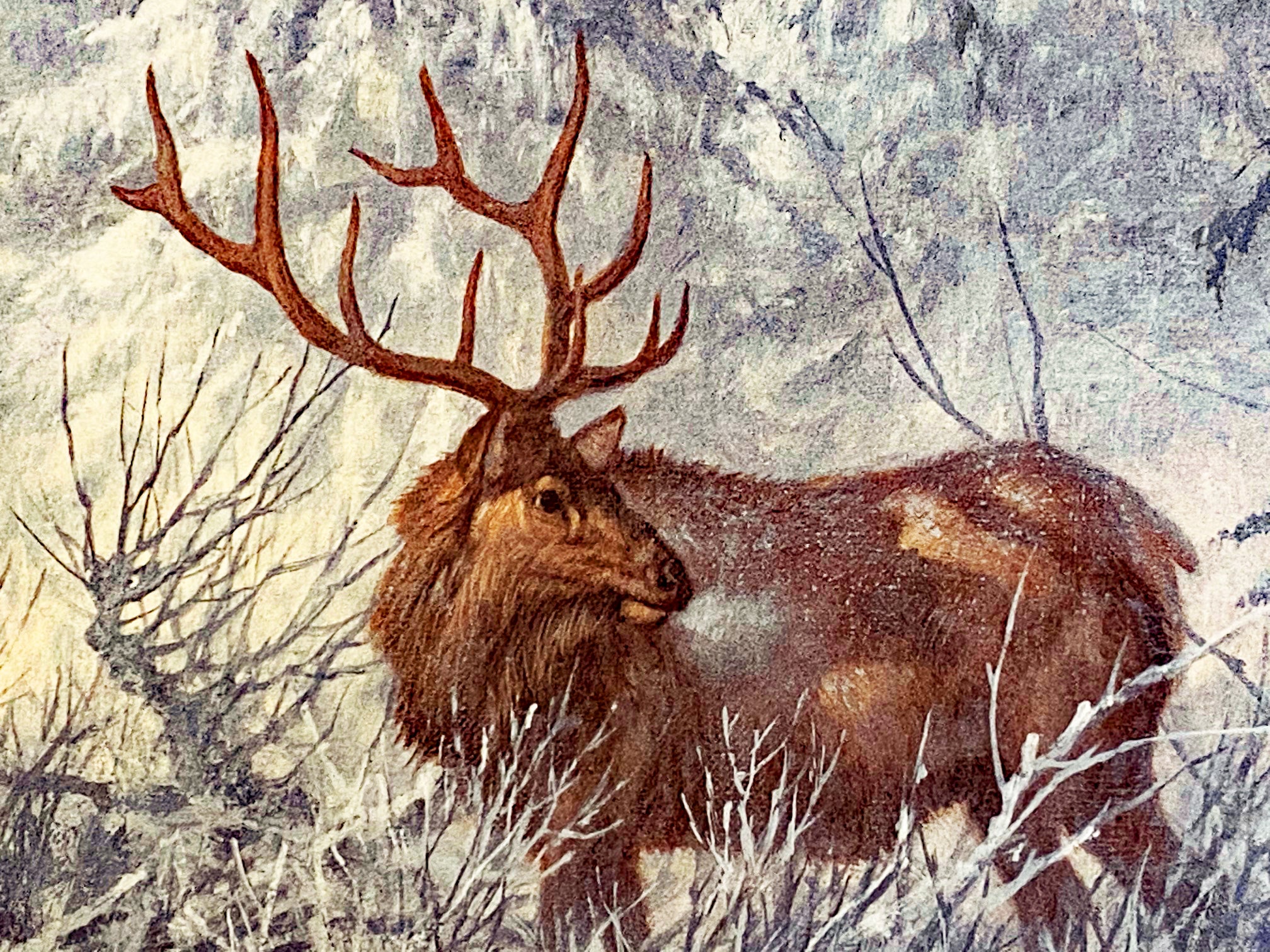 Solstice Rendezvous Larry Fanning Artist Proof Lithograph Print Artist Hand Signed and AP Numbered