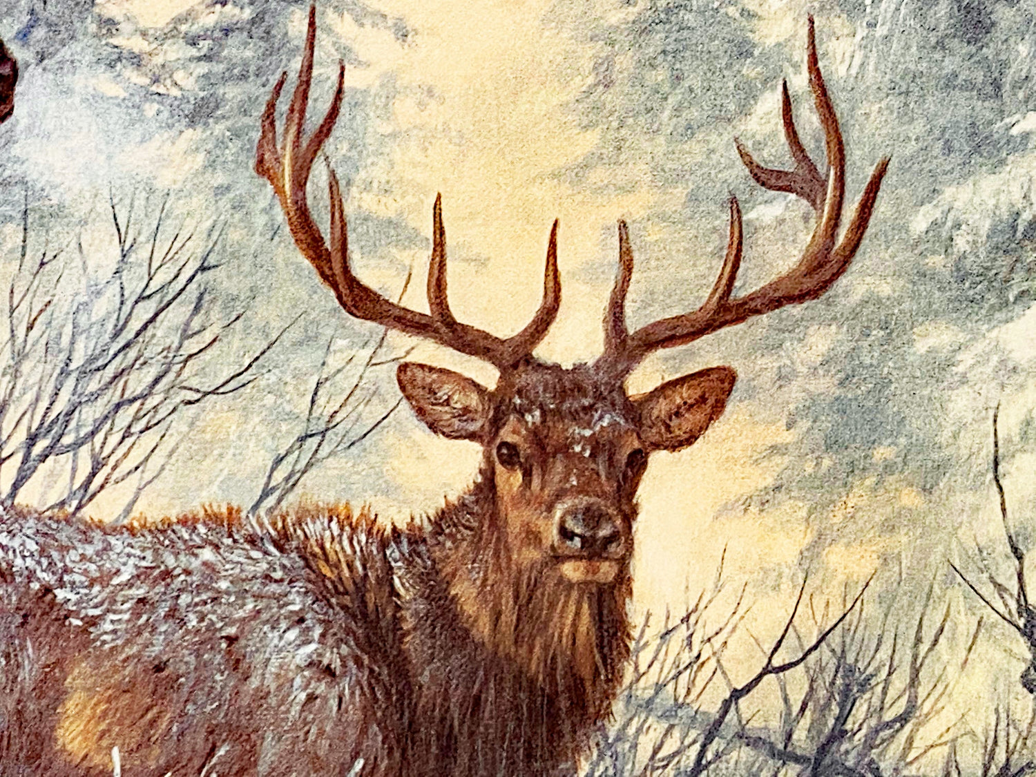 Solstice Rendezvous Larry Fanning Lithograph Print Artist Hand Signed and Numbered