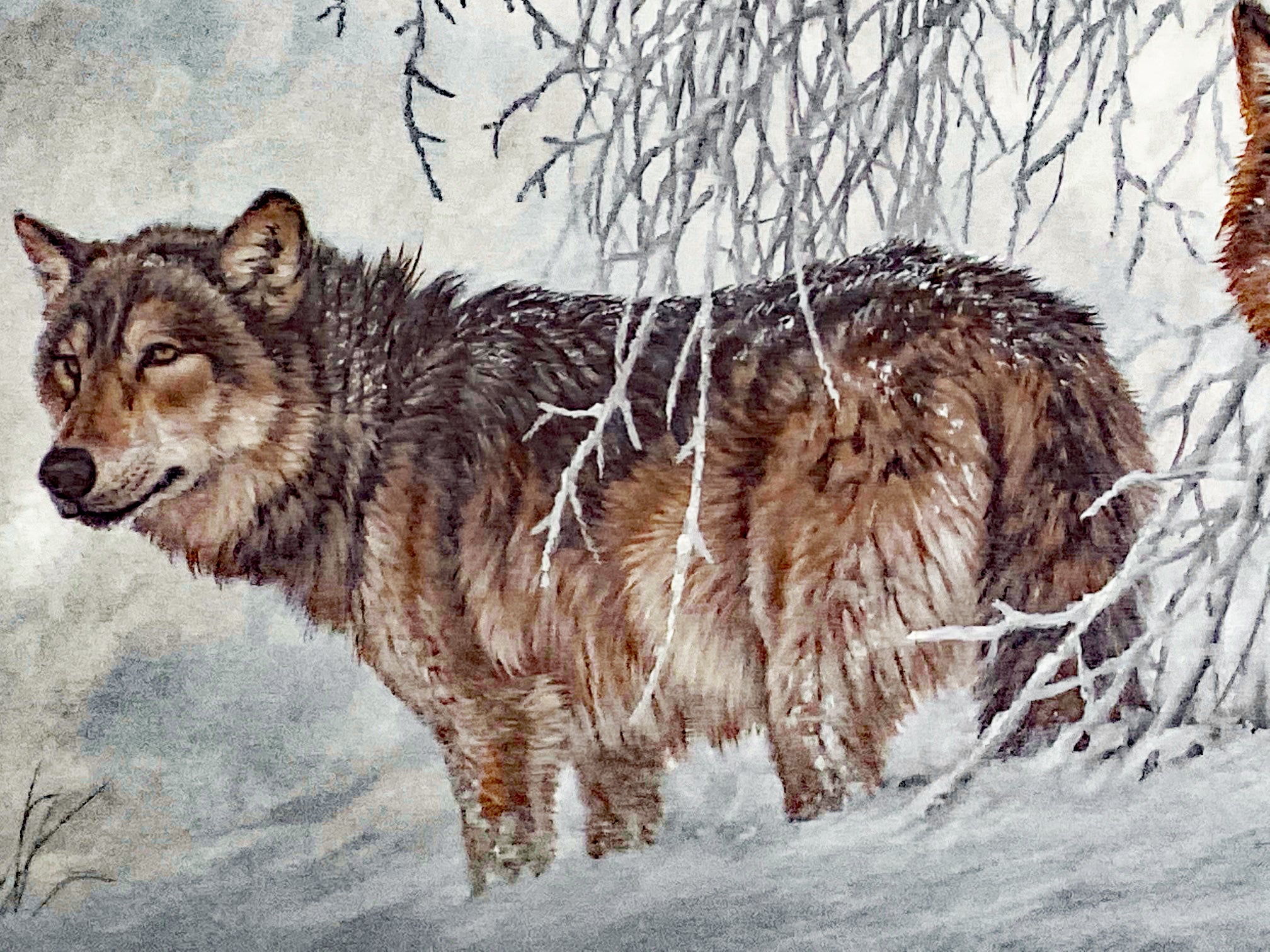Winters Lace Gray Wolves Larry Fanning Artist Proof Lithograph on Paper Artist Hand Signed and AP Numbered