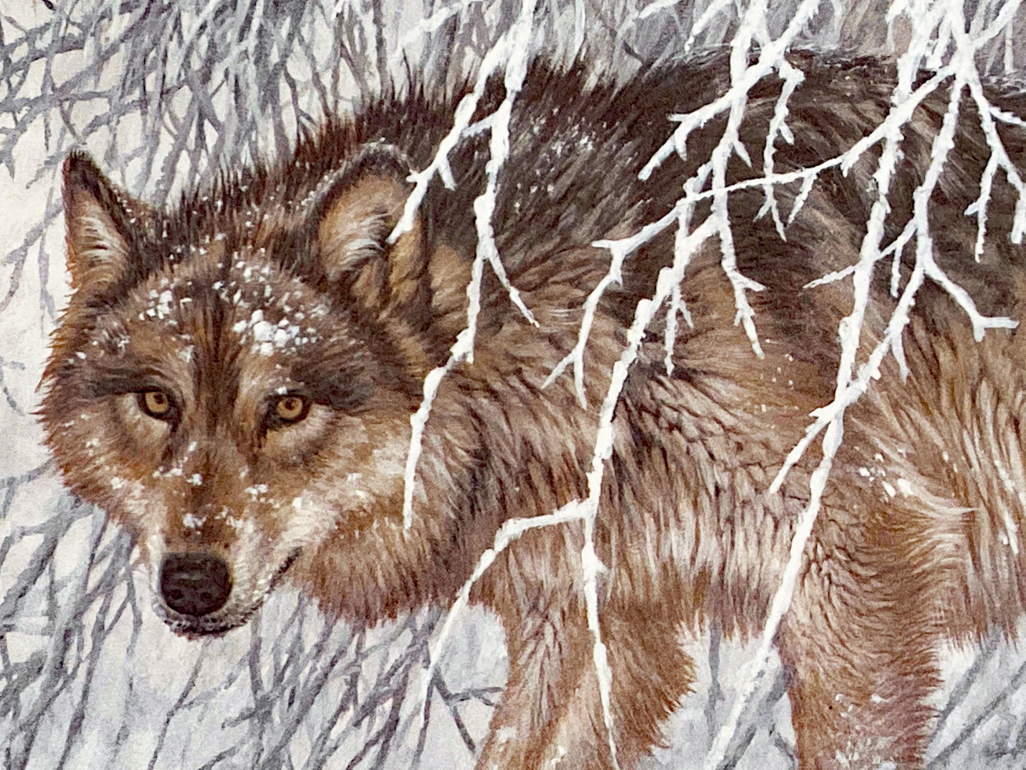 Winters Lace Gray Wolves Larry Fanning Artist Proof Lithograph on Paper Artist Hand Signed and AP Numbered