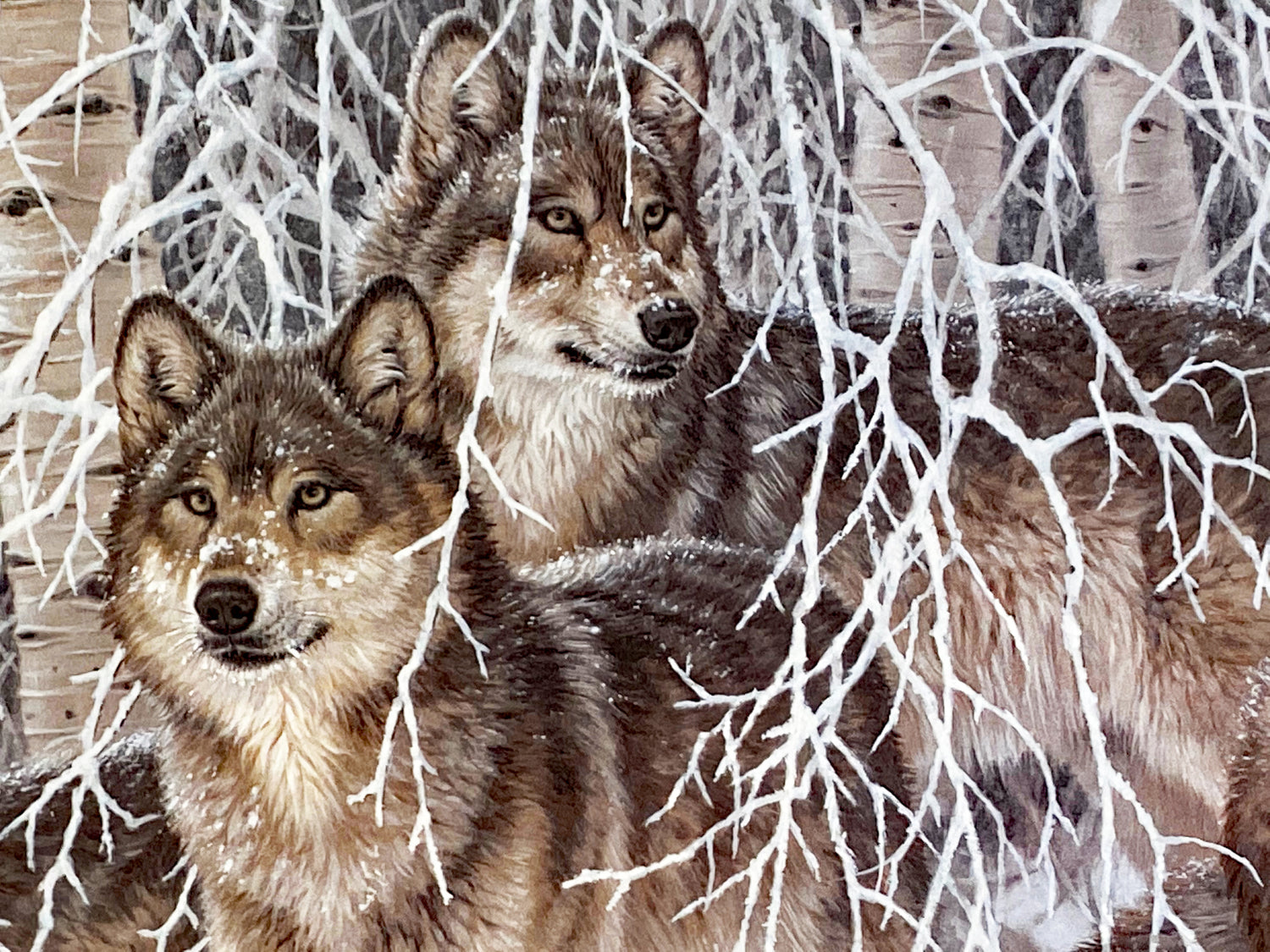 Winters Lace Gray Wolves Larry Fanning Artist Proof Lithograph on Paper Artist Hand Signed and AP Numbered