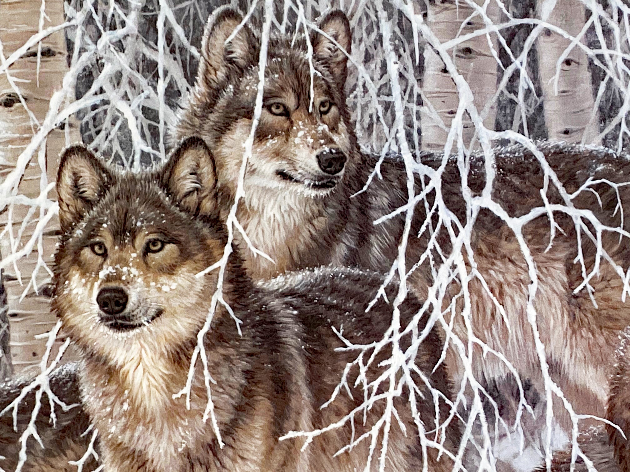 Winters Lace Gray Wolves Larry Fanning Artist Proof Lithograph on Paper Artist Hand Signed and AP Numbered