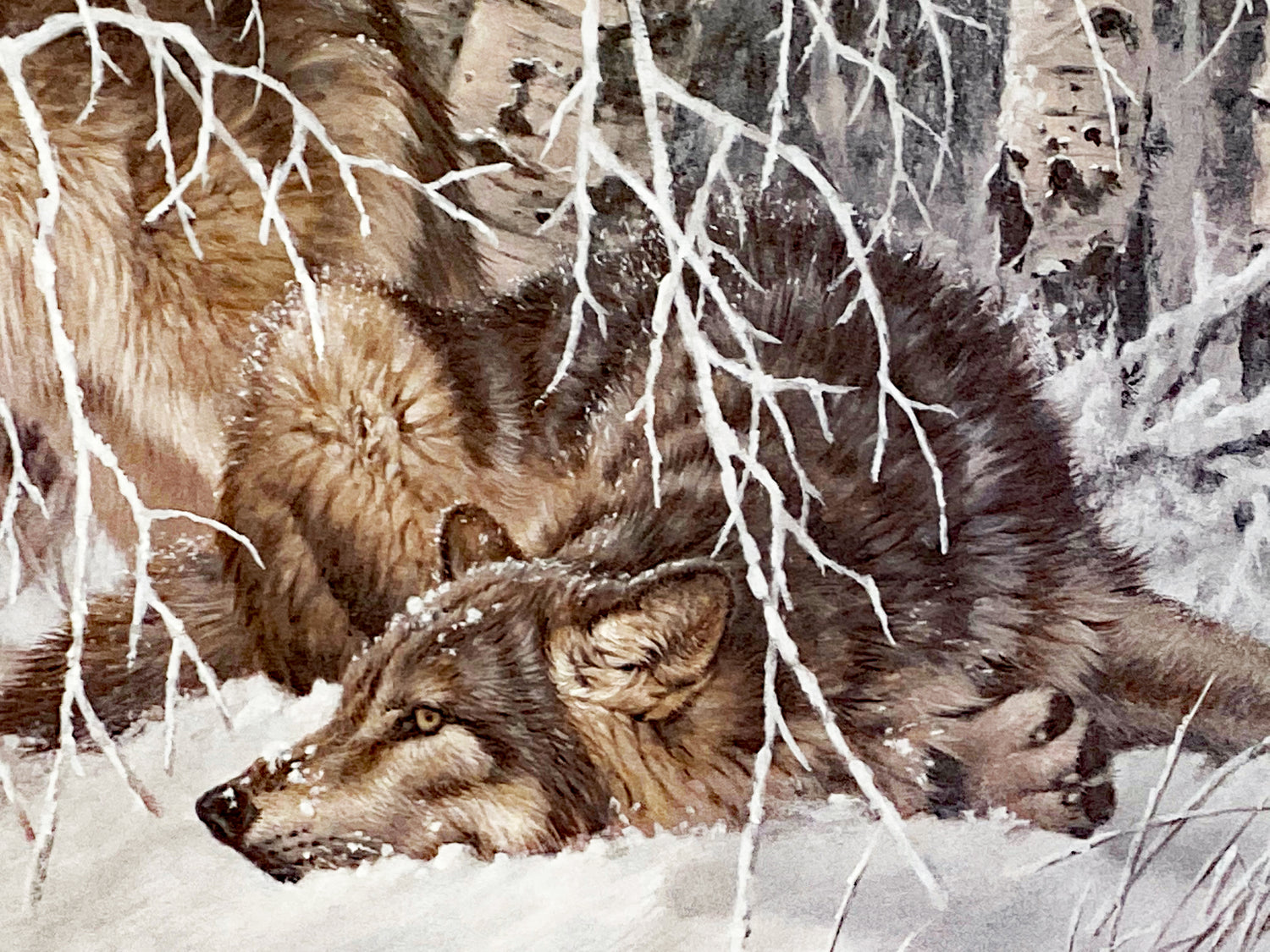 Winters Lace Gray Wolves Larry Fanning Artist Proof Lithograph on Paper Artist Hand Signed and AP Numbered