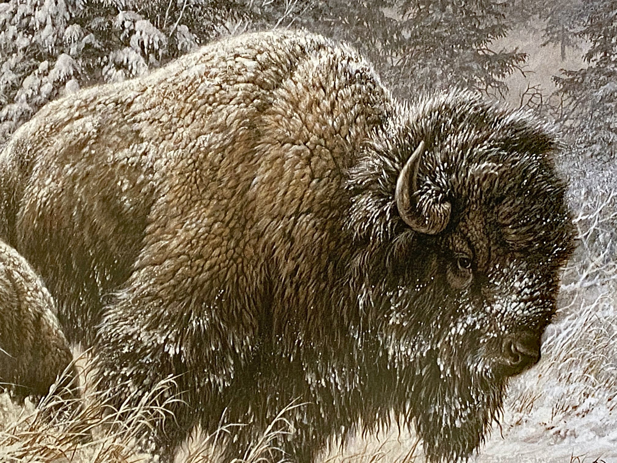 Front Range Storm Larry Fanning Artist Proof Lithograph Print on Paper Artist Hand Signed and AP Numbered