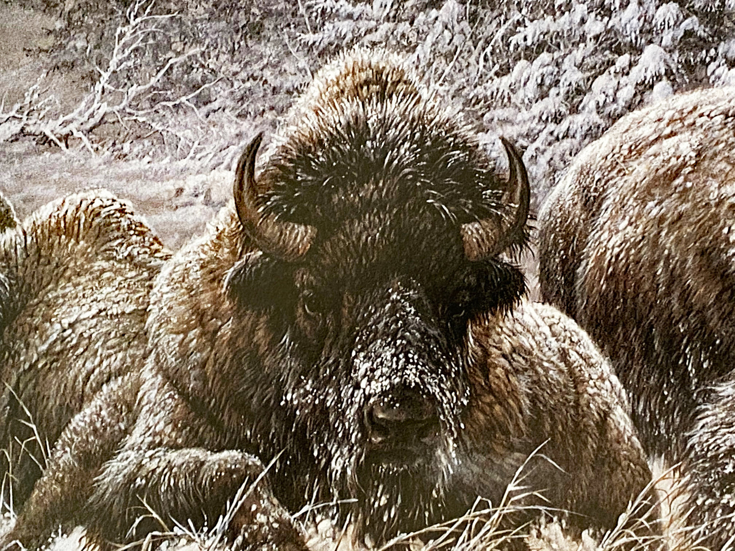 Front Range Storm Larry Fanning Artist Proof Lithograph Print on Paper Artist Hand Signed and AP Numbered