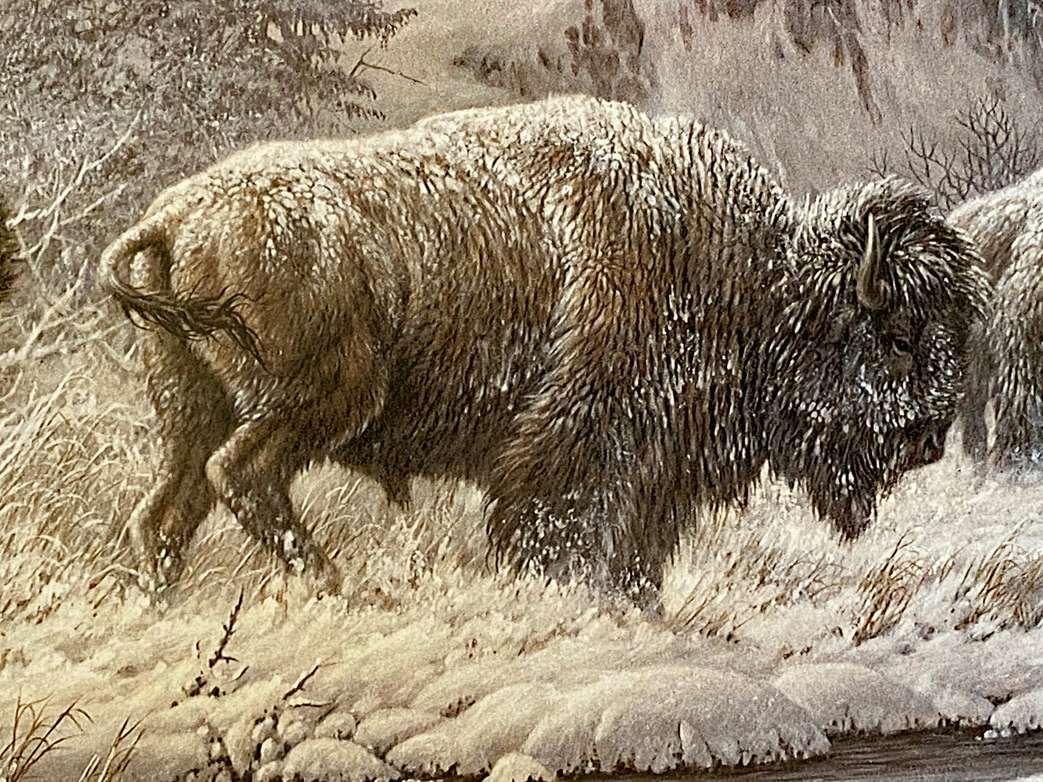 Front Range Storm Larry Fanning Artist Proof Lithograph Print on Paper Artist Hand Signed and AP Numbered