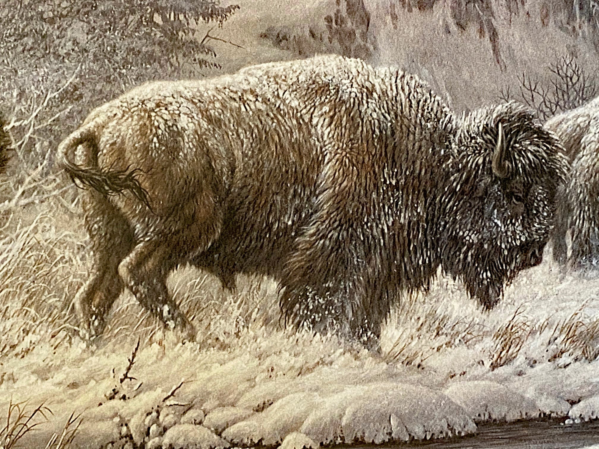 Front Range Storm Larry Fanning Artist Proof Lithograph Print on Paper Artist Hand Signed and AP Numbered
