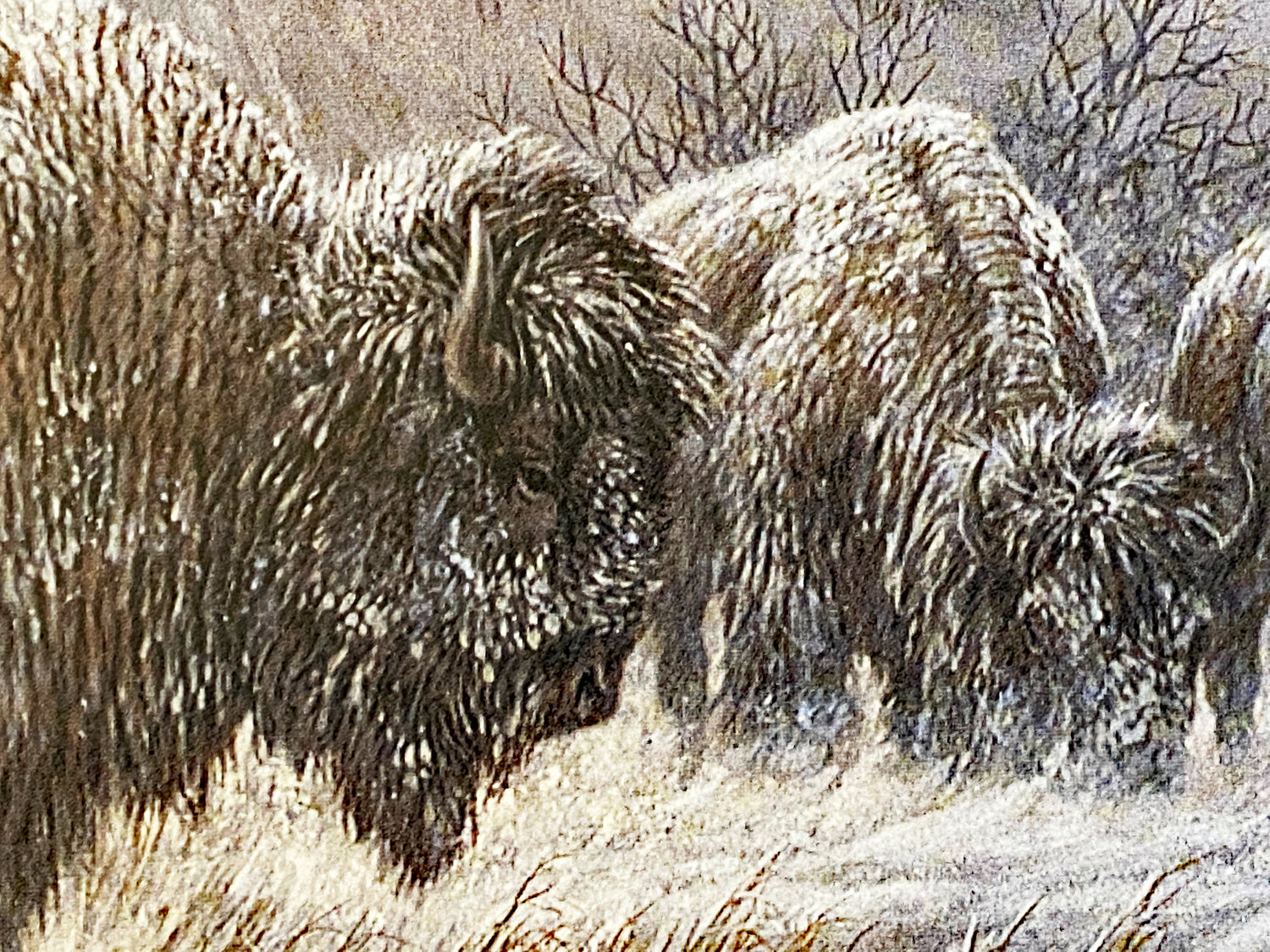 Front Range Storm Larry Fanning Artist Proof Lithograph Print on Paper Artist Hand Signed and AP Numbered