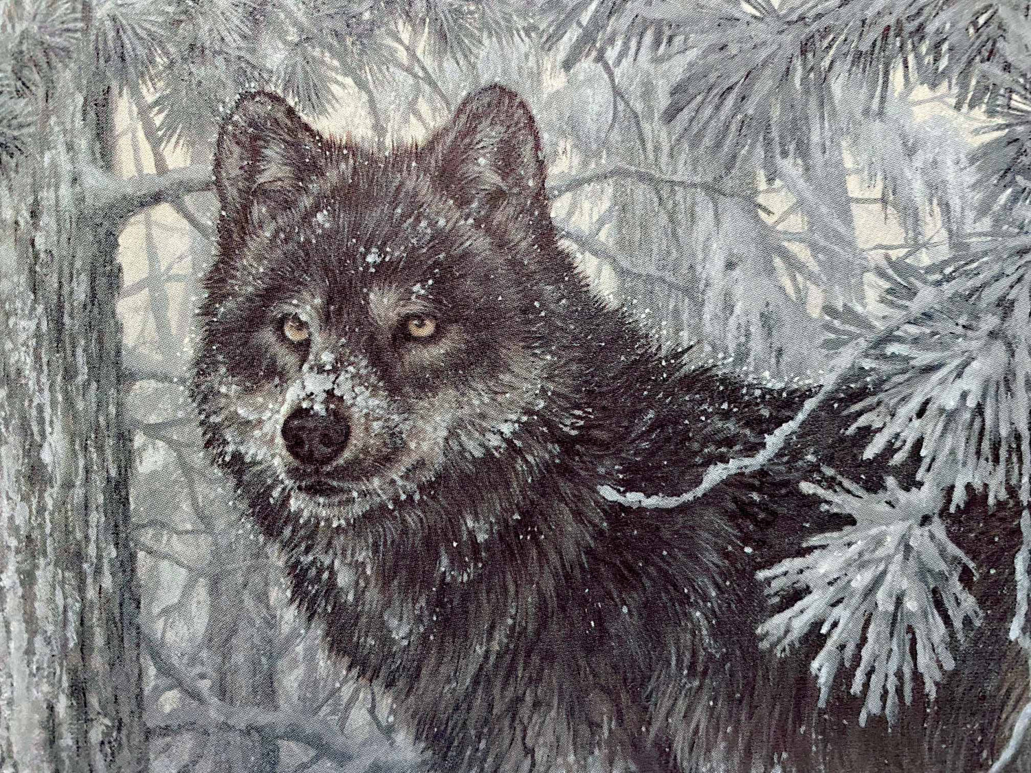 Phantom of the North Larry Fanning Lithograph Print on Paper Artist Hand Signed