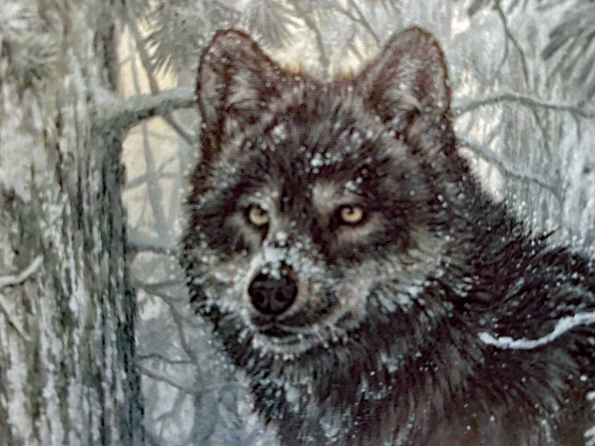 Phantom of the North Larry Fanning Lithograph Print on Paper Artist Hand Signed