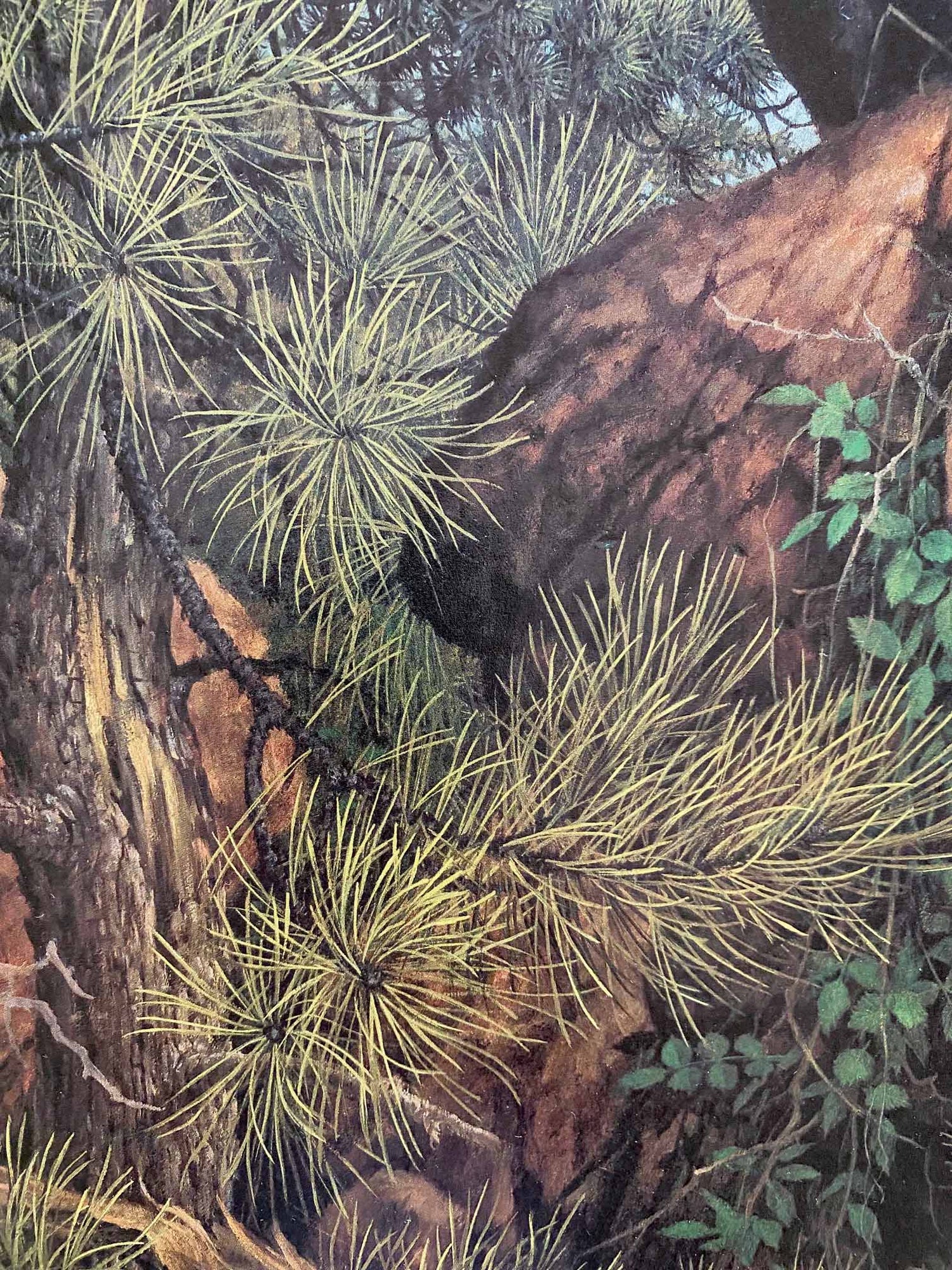 Soul Mates Larry Fanning Lithograph Print on Paper Artist Hand Signed and Numbered