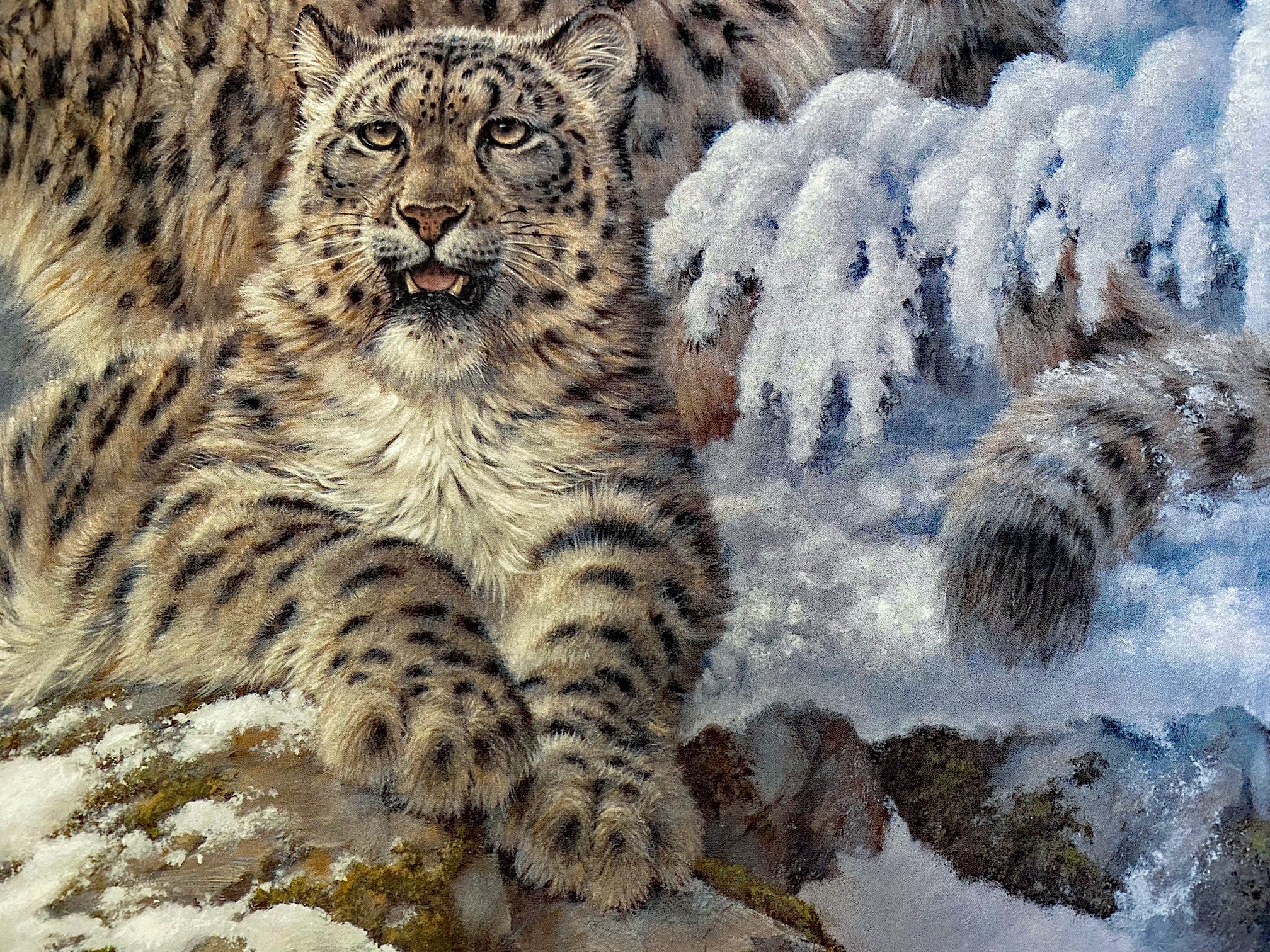 Himalayan Royalty Larry Fanning Lithograph on Paper Artist Hand Signed and Numbered