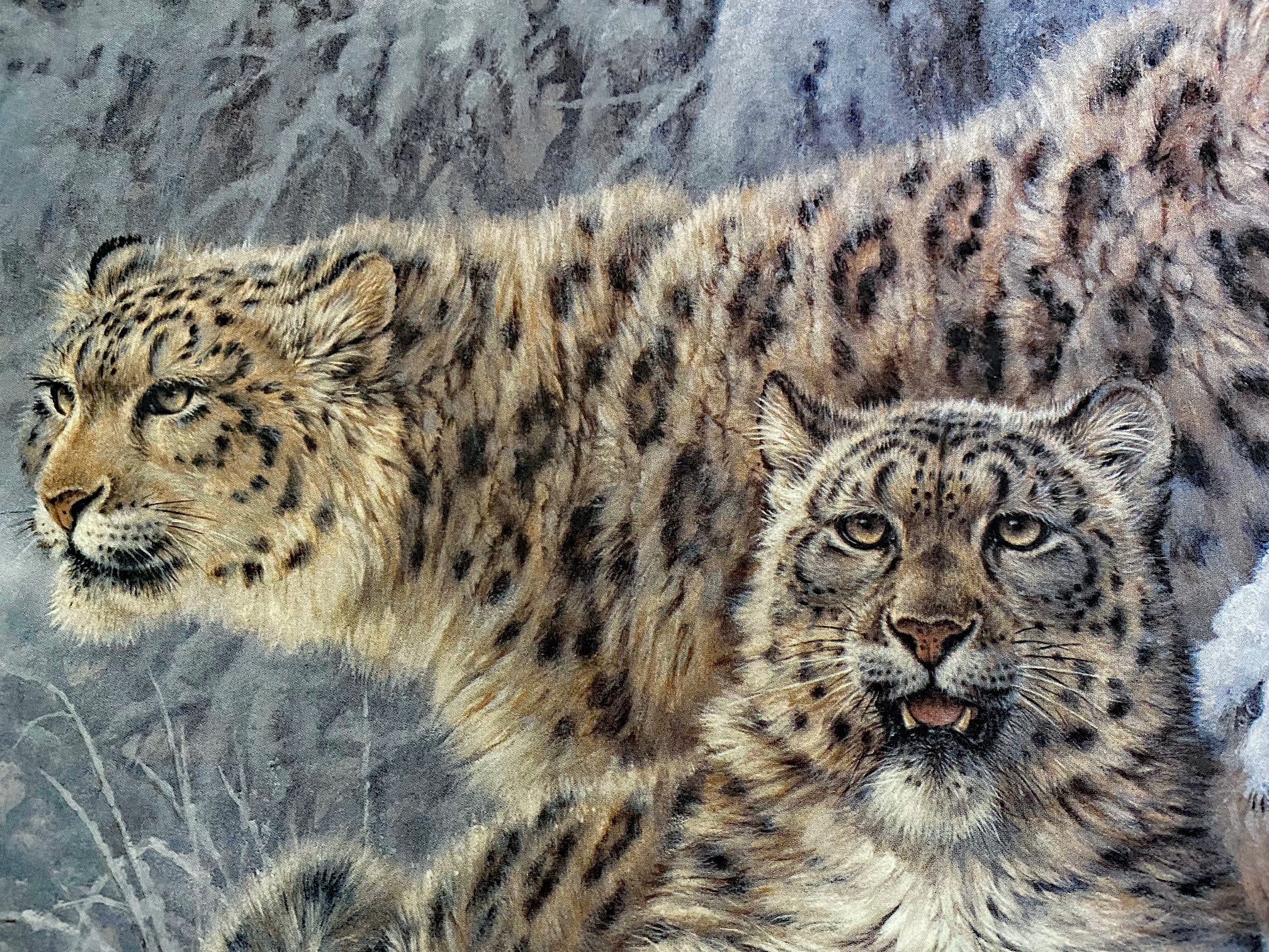Himalayan Royalty Larry Fanning Lithograph on Paper Artist Hand Signed and Numbered