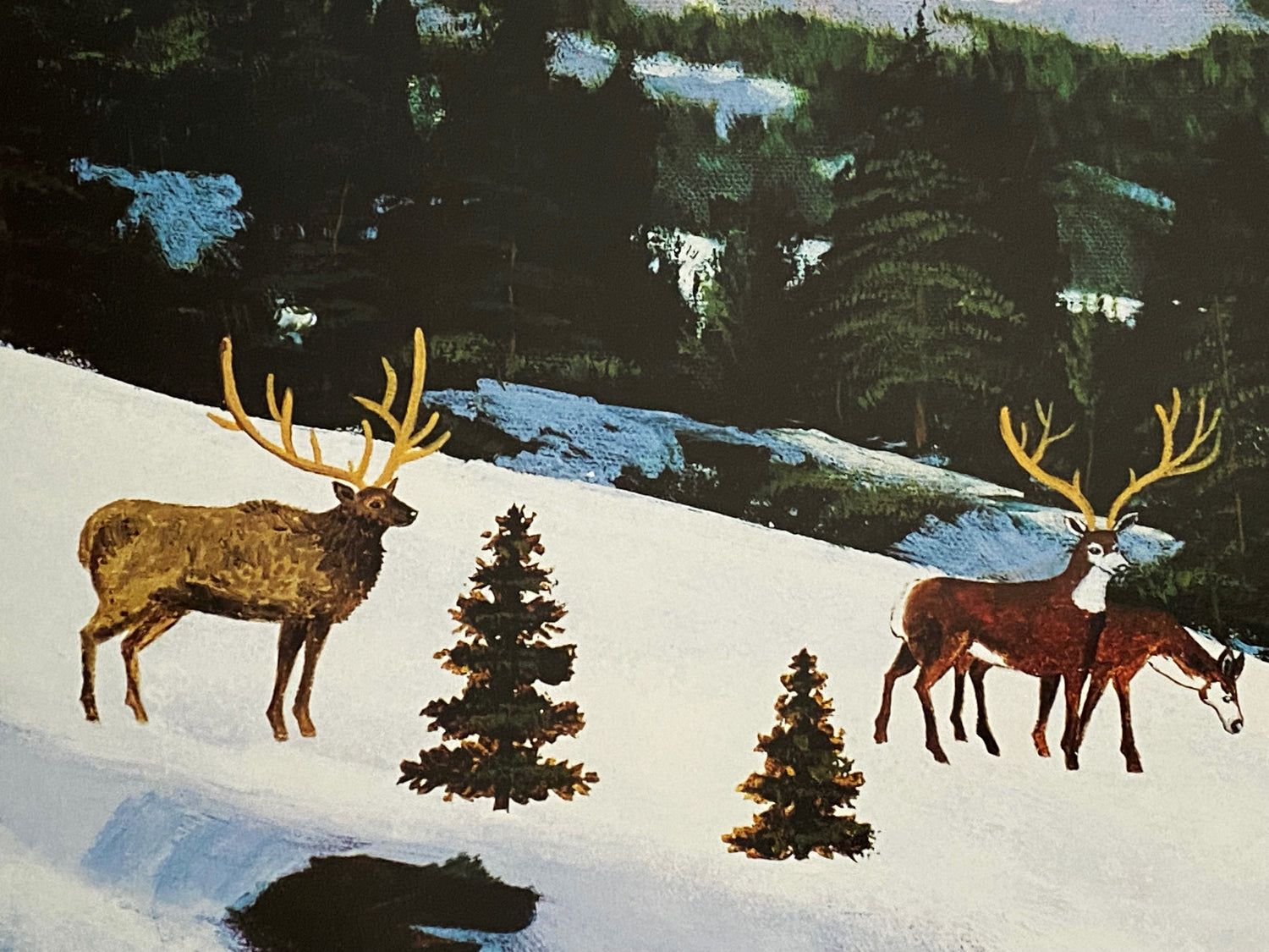 Sawtooth Mountain Splendor Jane Wooster Scott Lithograph Print Artist Hand Signed and Numbered