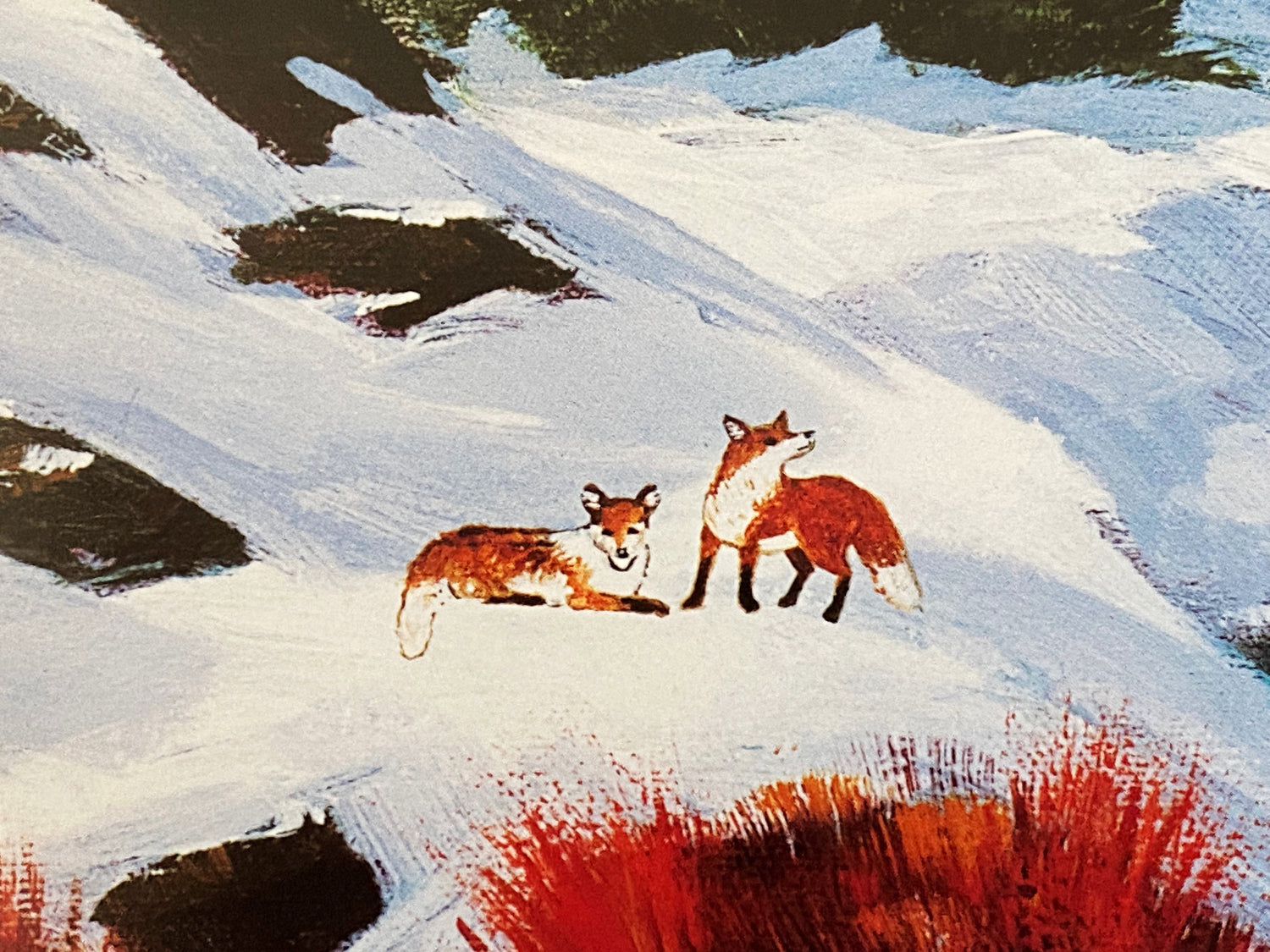 Sawtooth Mountain Splendor Jane Wooster Scott Lithograph Print Artist Hand Signed and Numbered