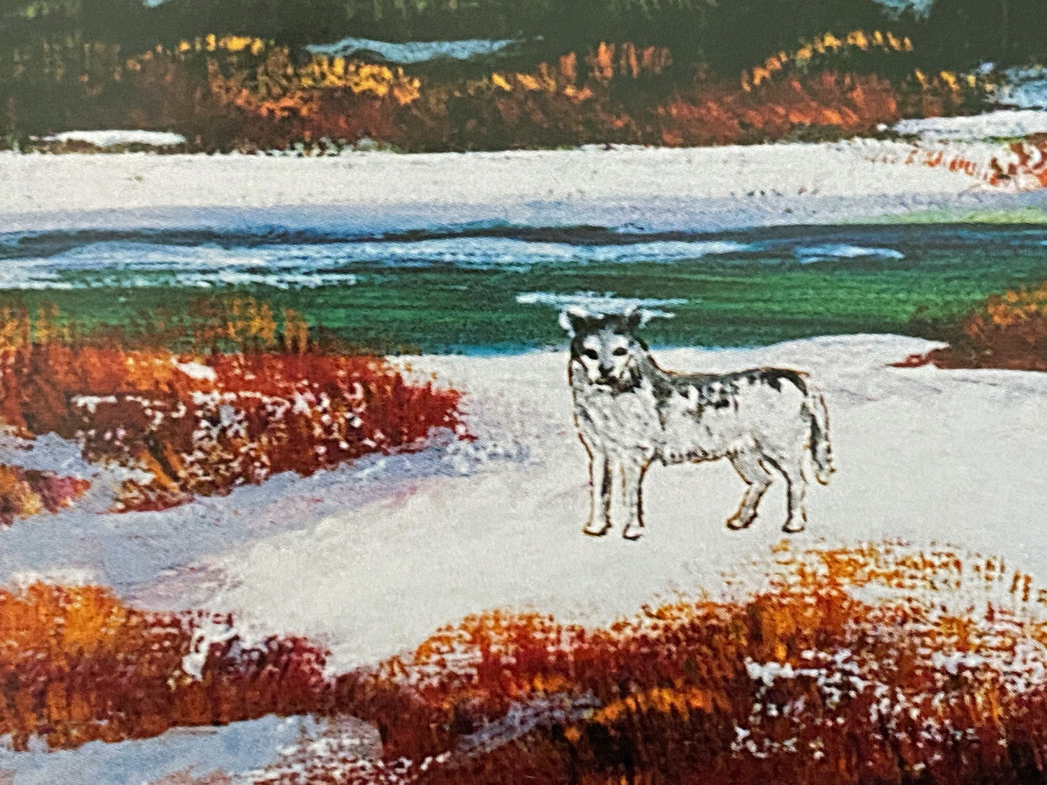 Sawtooth Mountain Splendor Jane Wooster Scott Lithograph Print Artist Hand Signed and Numbered