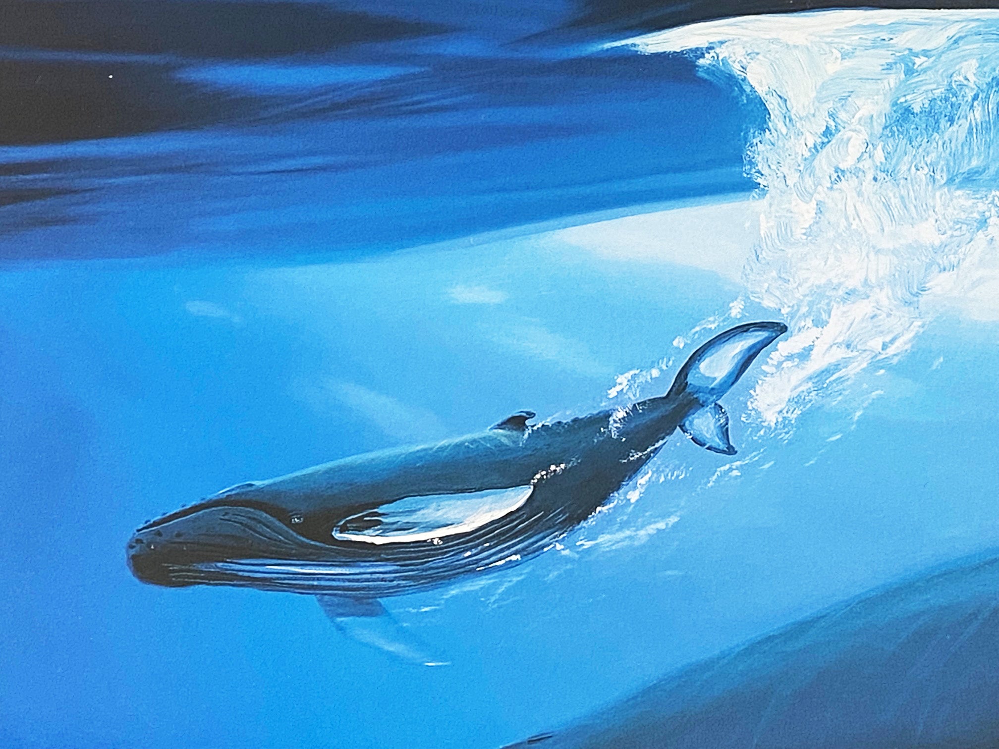 A Sea of Life Wyland Lithograph Print Artist Hand Signed and Numbered