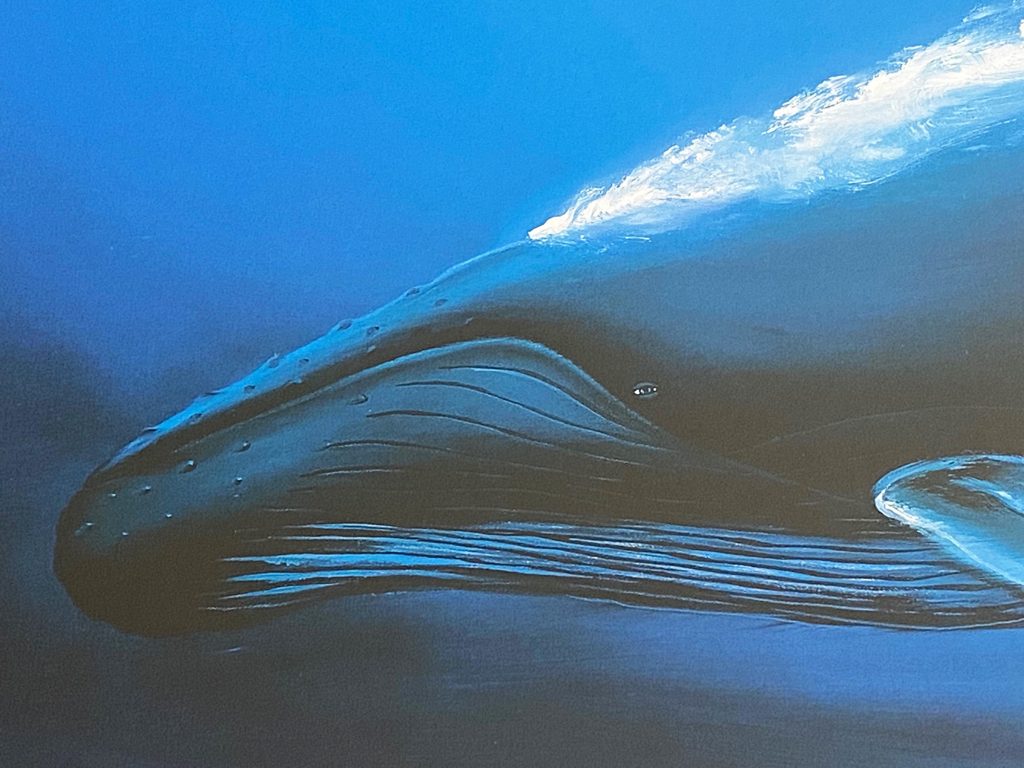 A Sea of Life Wyland Lithograph Print Artist Hand Signed and Numbered