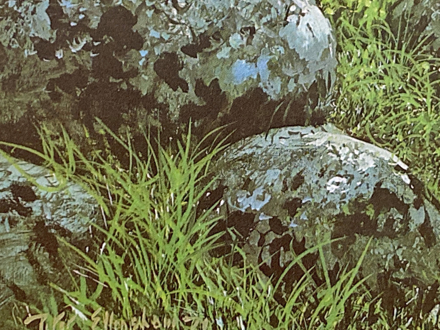 Cronaniy Burn Peter Ellenshaw Artist Proof Lithograph Artist Hand Signed Numbered