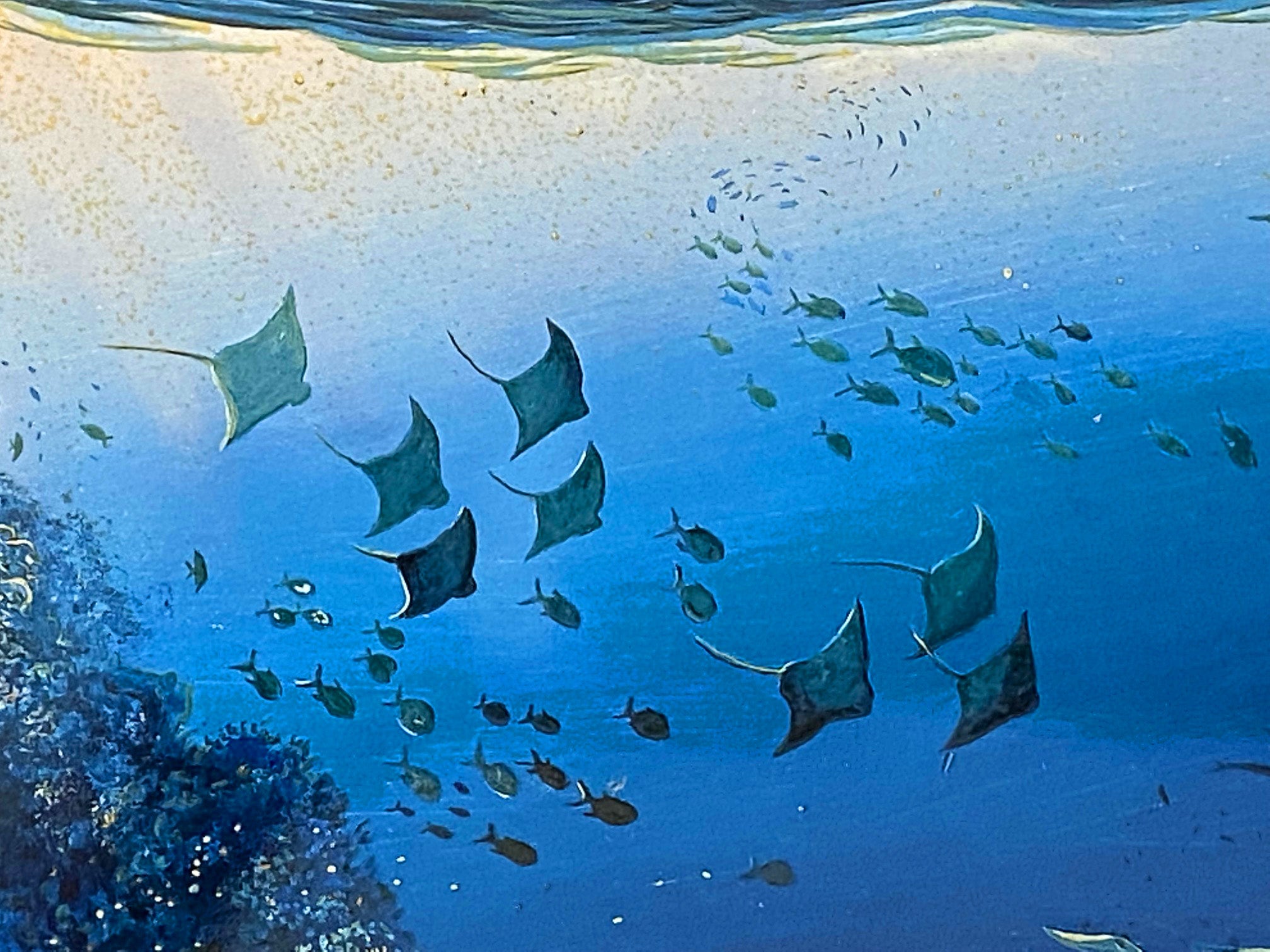 Wonders of Mahea Lani Robert Lyn Nelson Mixed Media Print Artist Hand Signed and Numbered