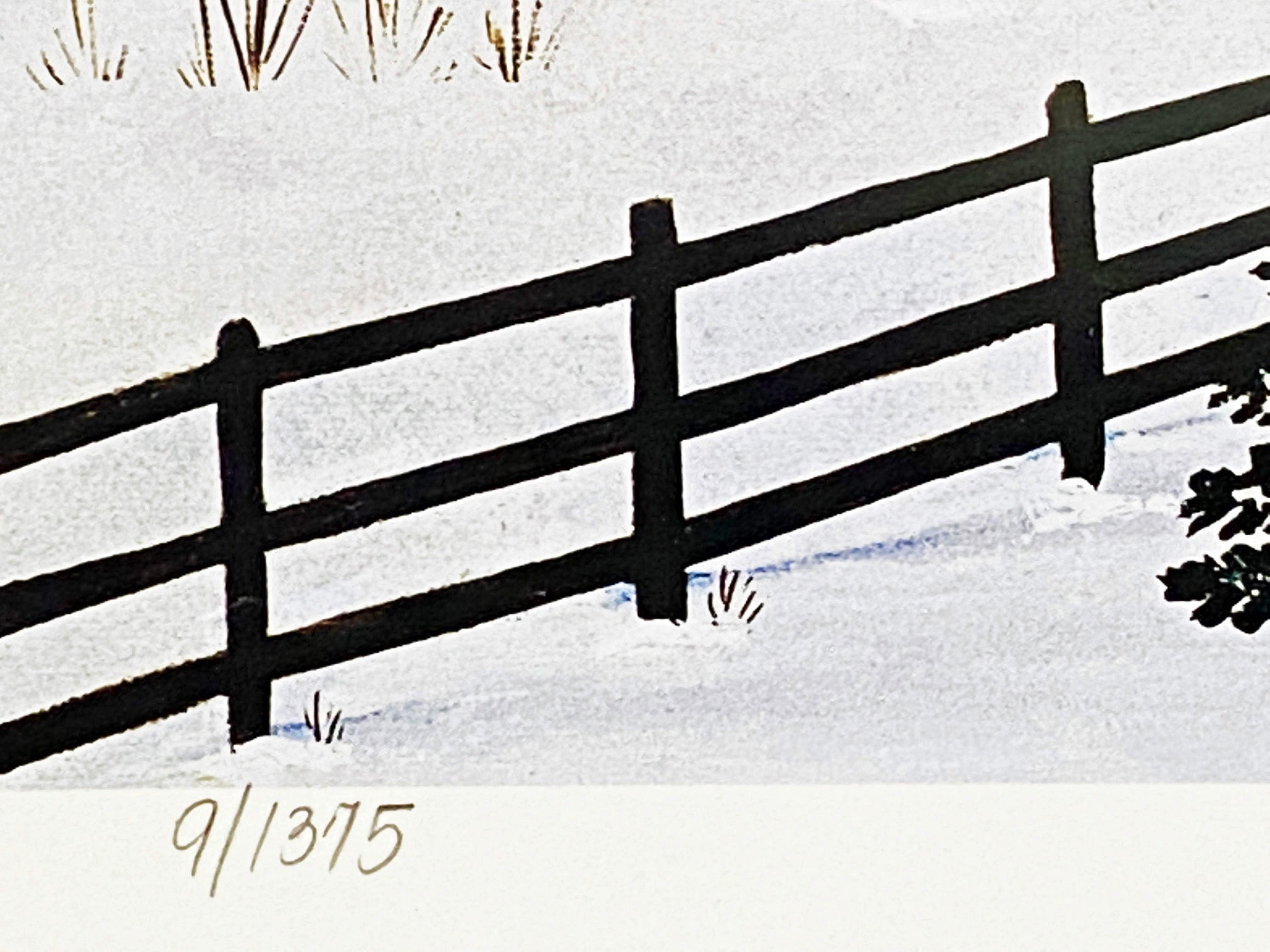 Winter&