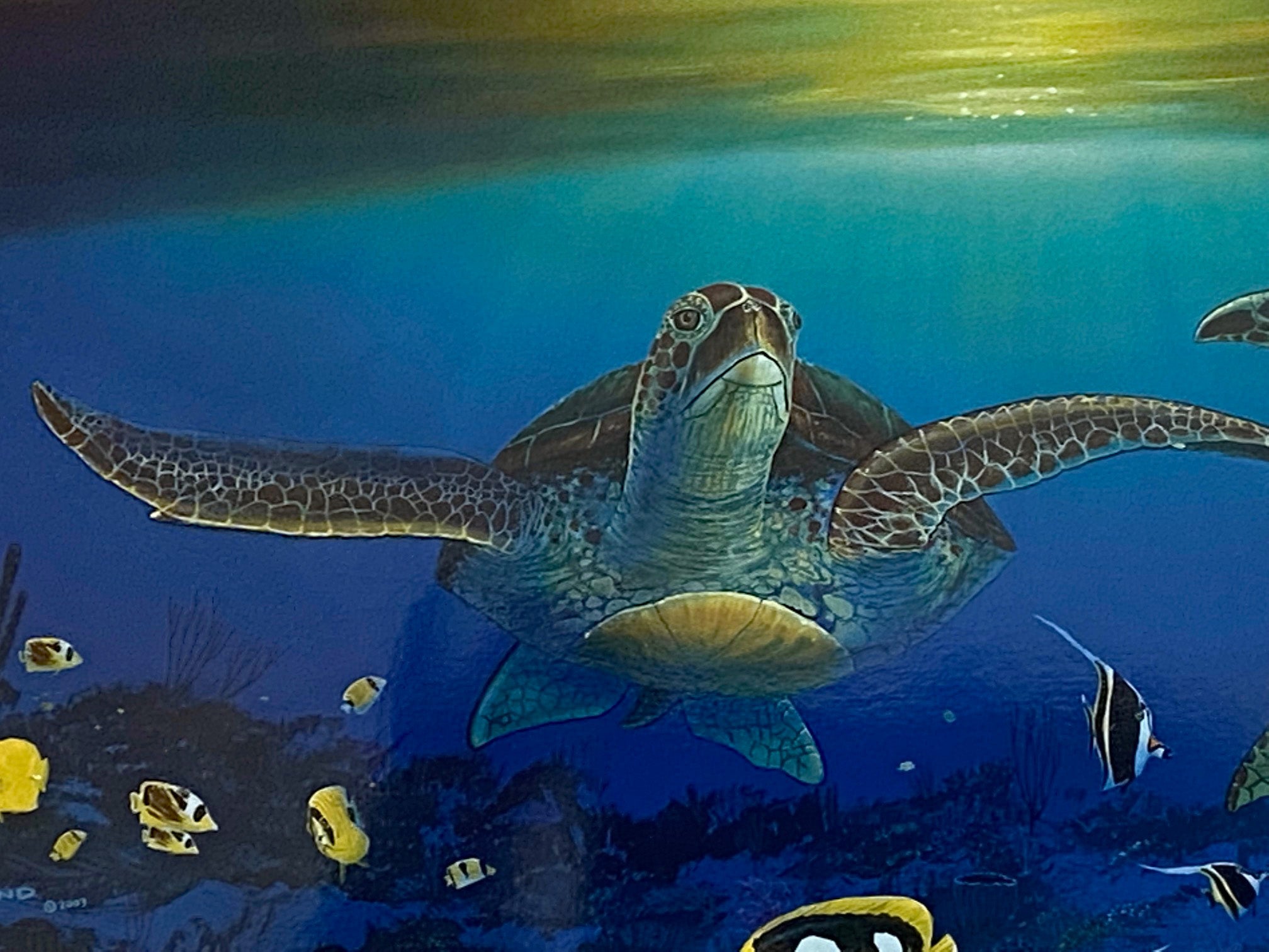 Sea Turtle Reef Wyland Lithograph Print Artist Hand Signed and Numbered