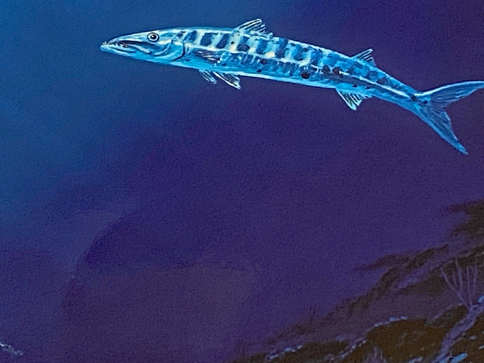 In the Company of Dolphins Wyland Artist Proof Mixed Media Artist Hand Signed and AP Numbered