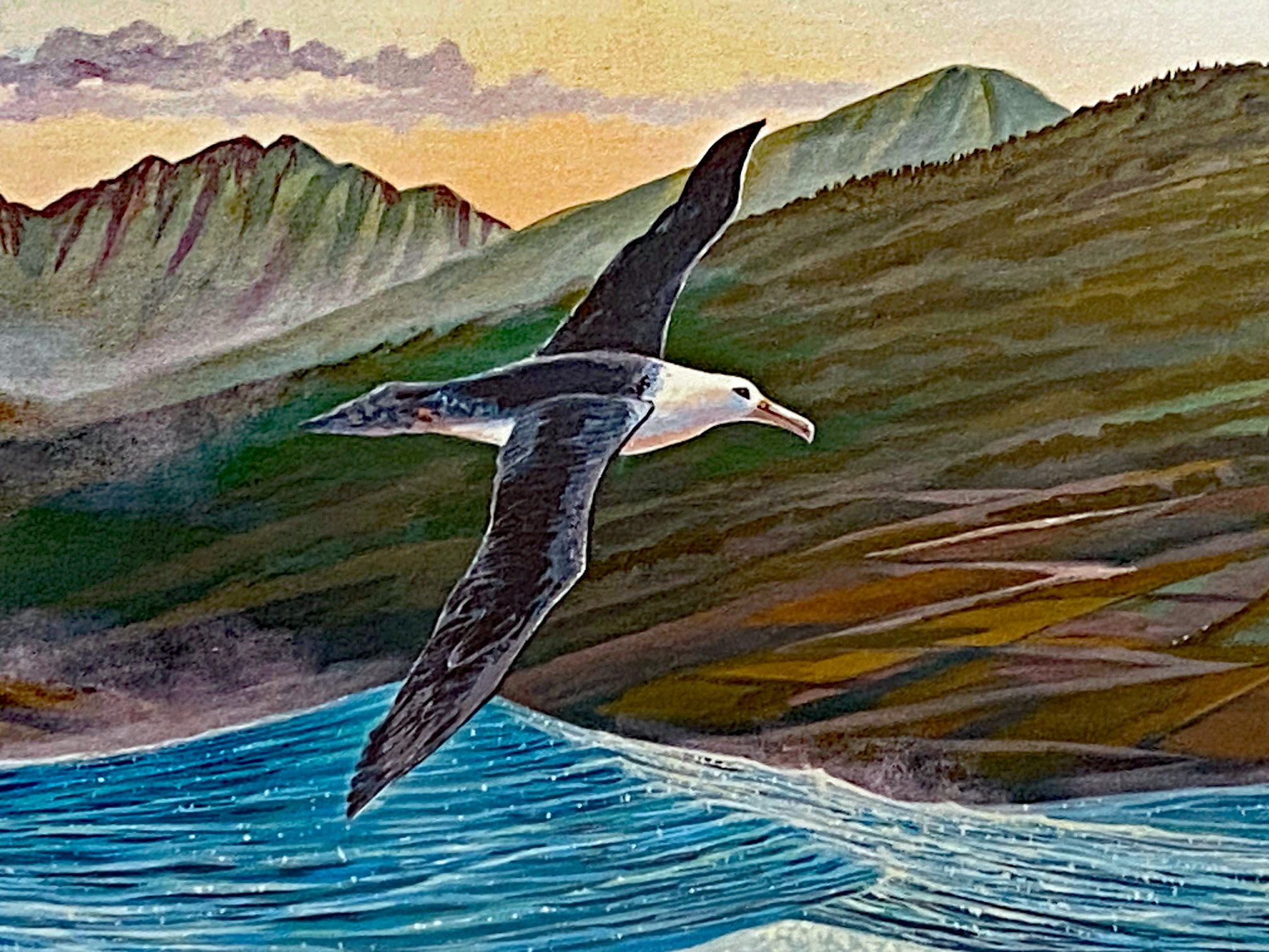 Lahaina Sea Flight Robert Lyn Nelson Mixed Media Print Artist Hand Signed and Numbered