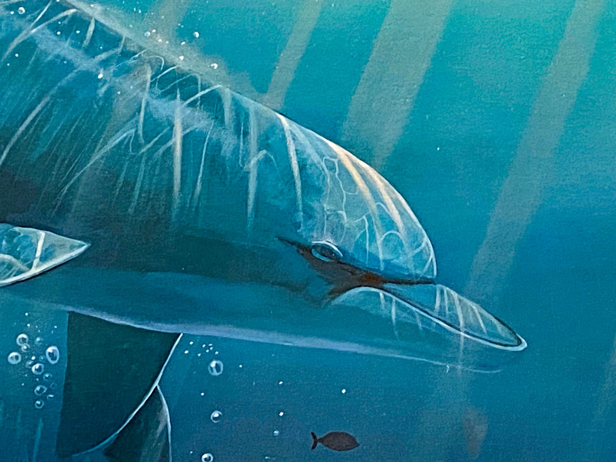 Lahaina Sea Flight Robert Lyn Nelson Mixed Media Print Artist Hand Signed and Numbered